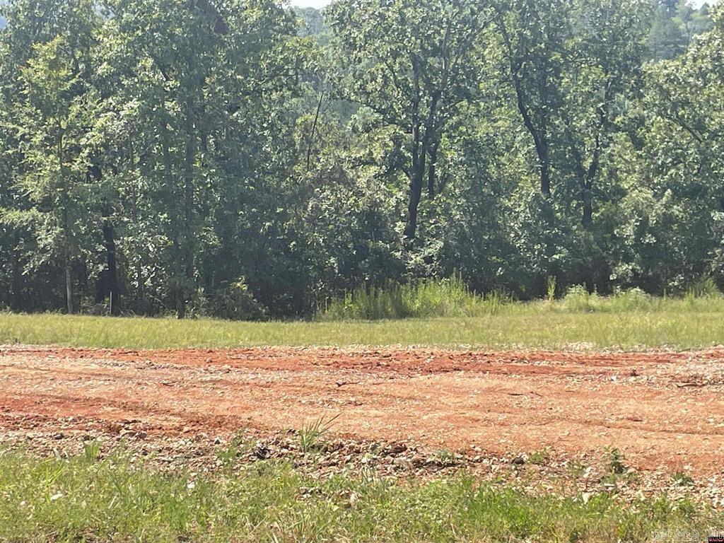 1095  CR 19  Mountain Home, AR