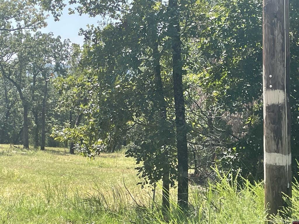 1095  CR 19  Mountain Home, AR