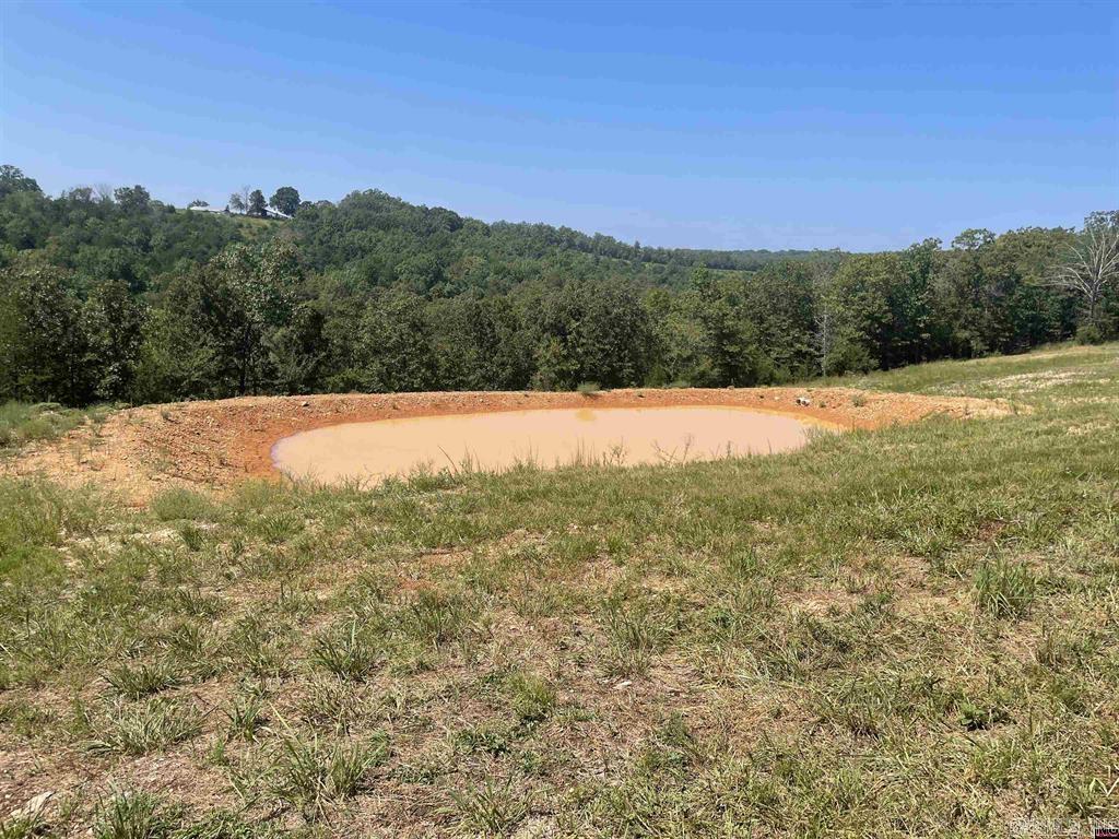 1095  CR 19  Mountain Home, AR