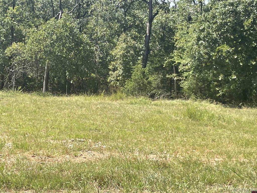 1095  CR 19  Mountain Home, AR