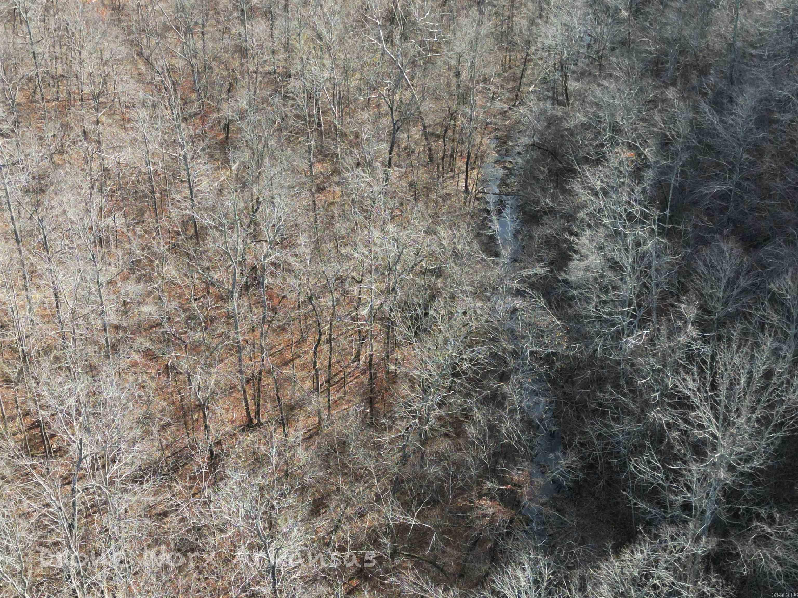 1534  Endline  Marshall, AR