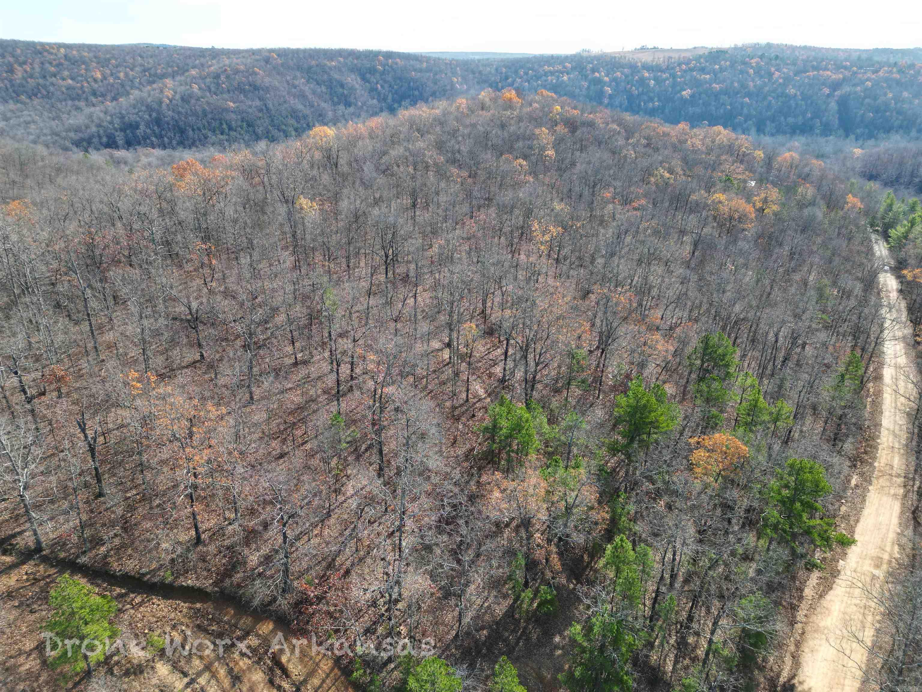 1534  Endline  Marshall, AR