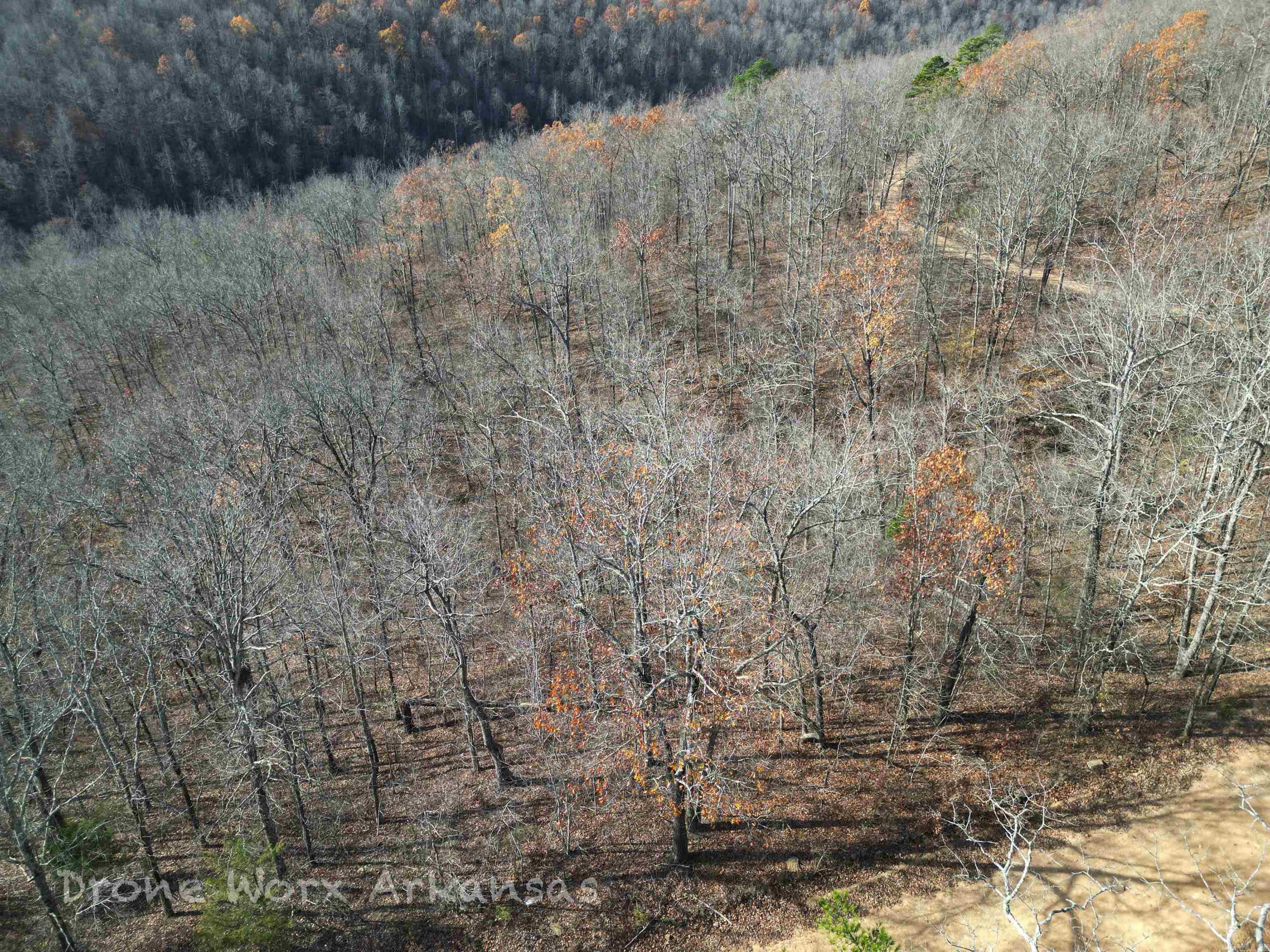 1534  Endline  Marshall, AR