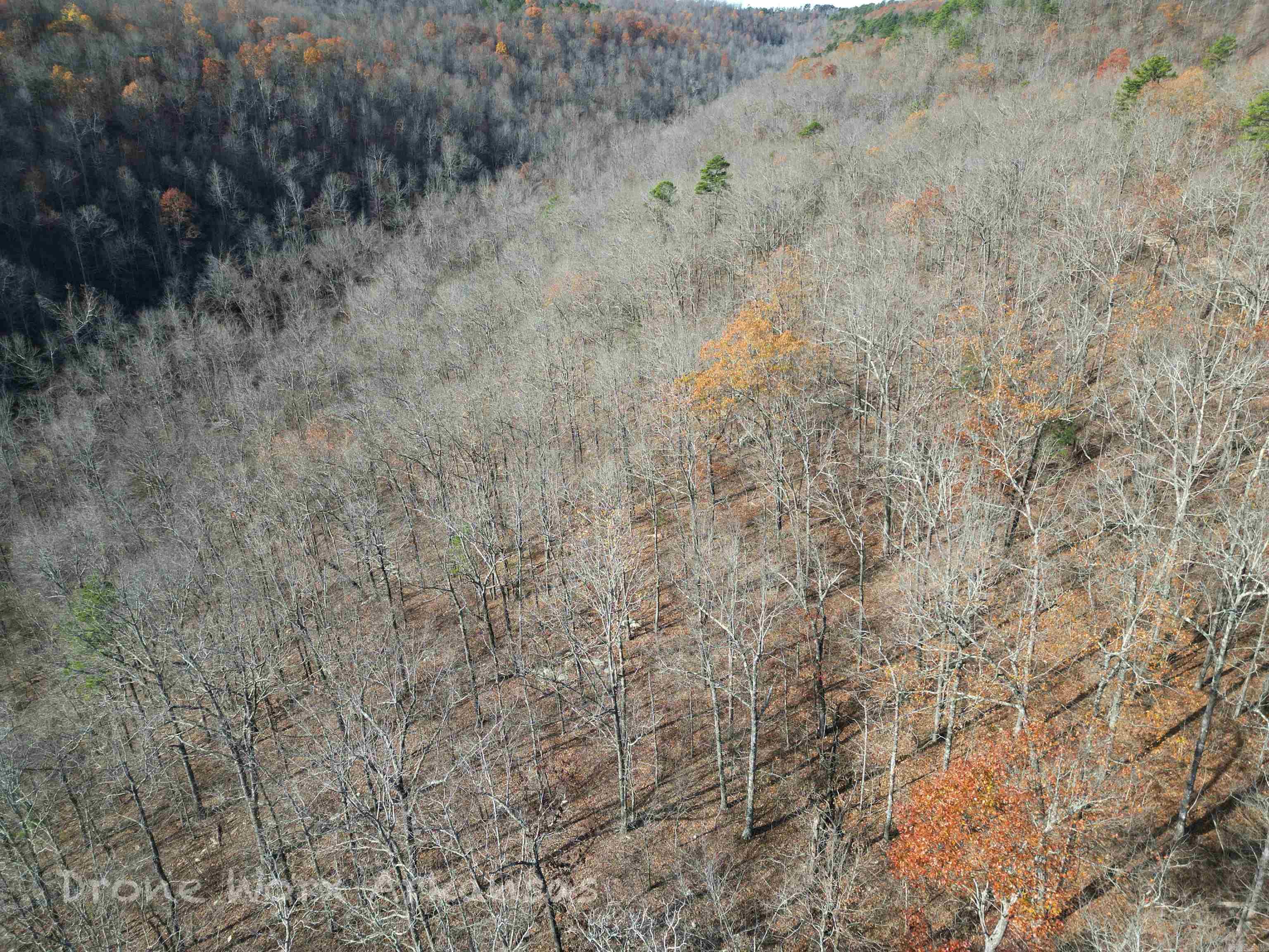 1534  Endline  Marshall, AR