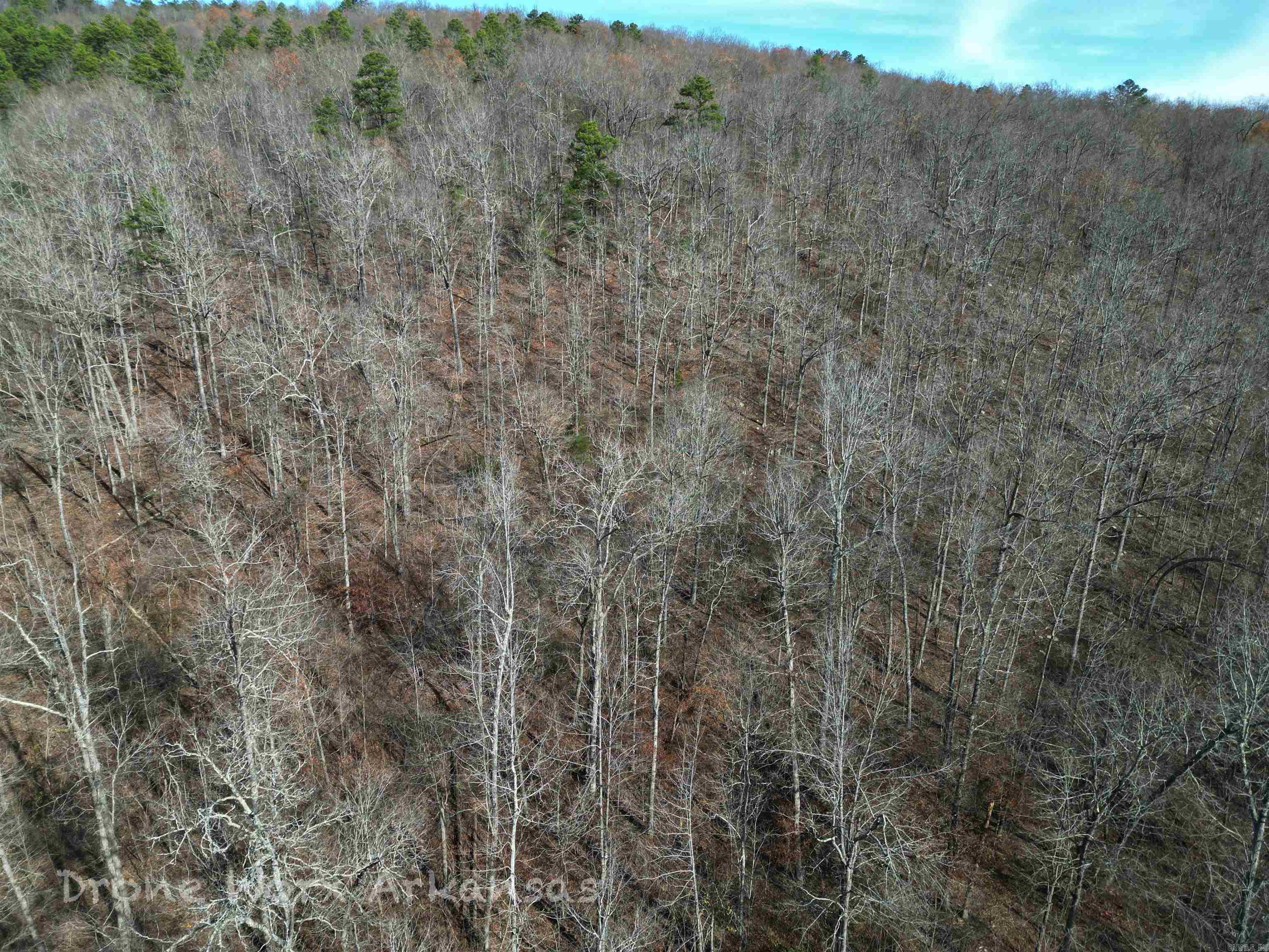 1534  Endline  Marshall, AR