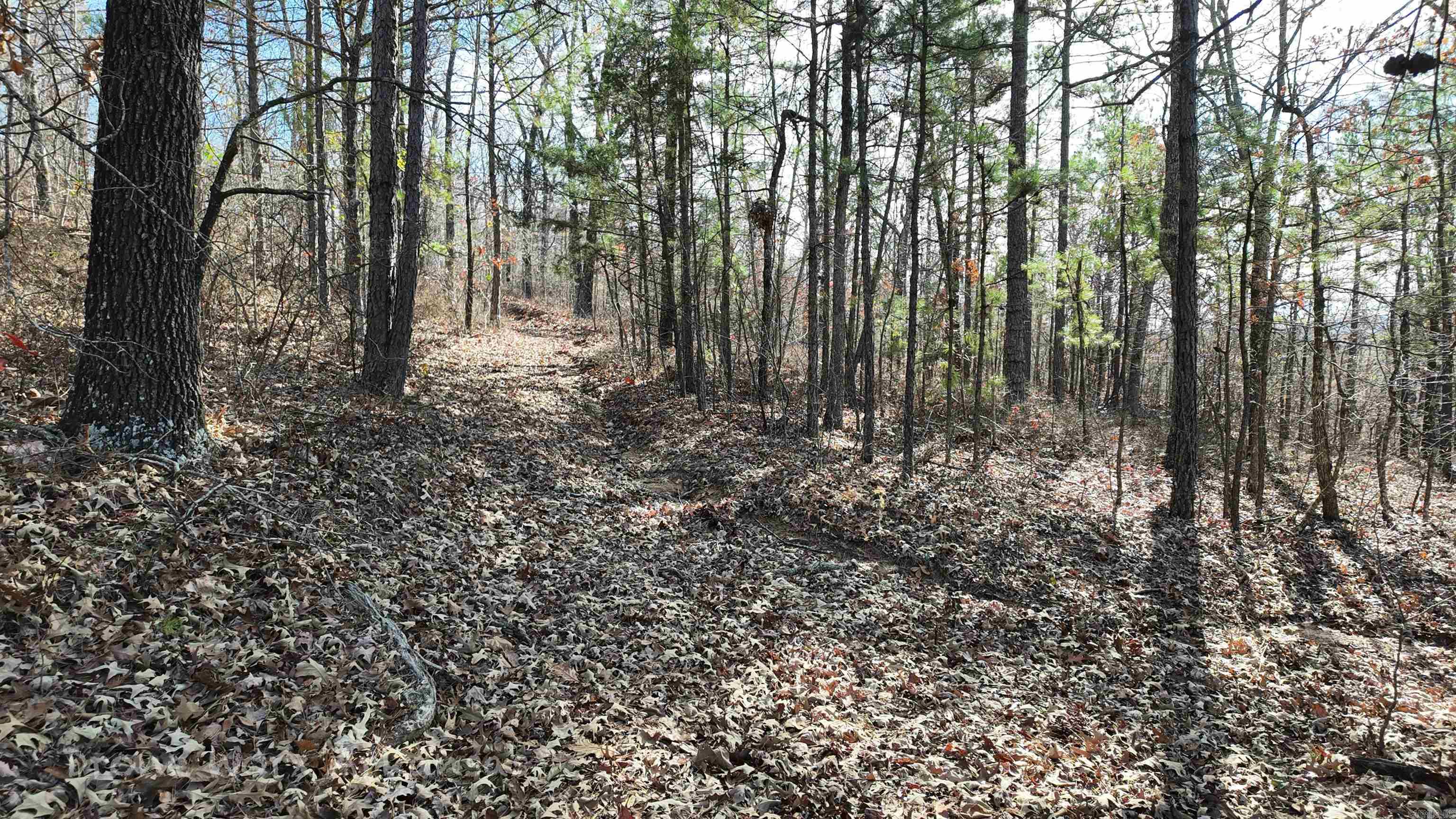 1534  Endline  Marshall, AR
