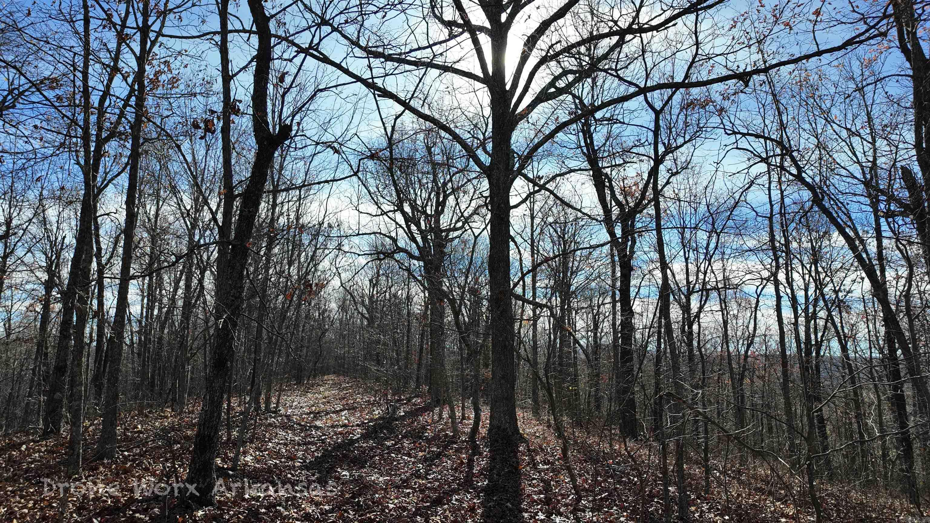 1534  Endline  Marshall, AR