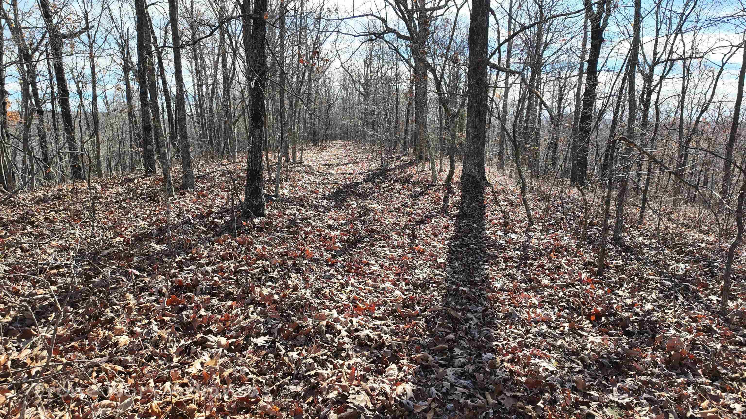 1534  Endline  Marshall, AR