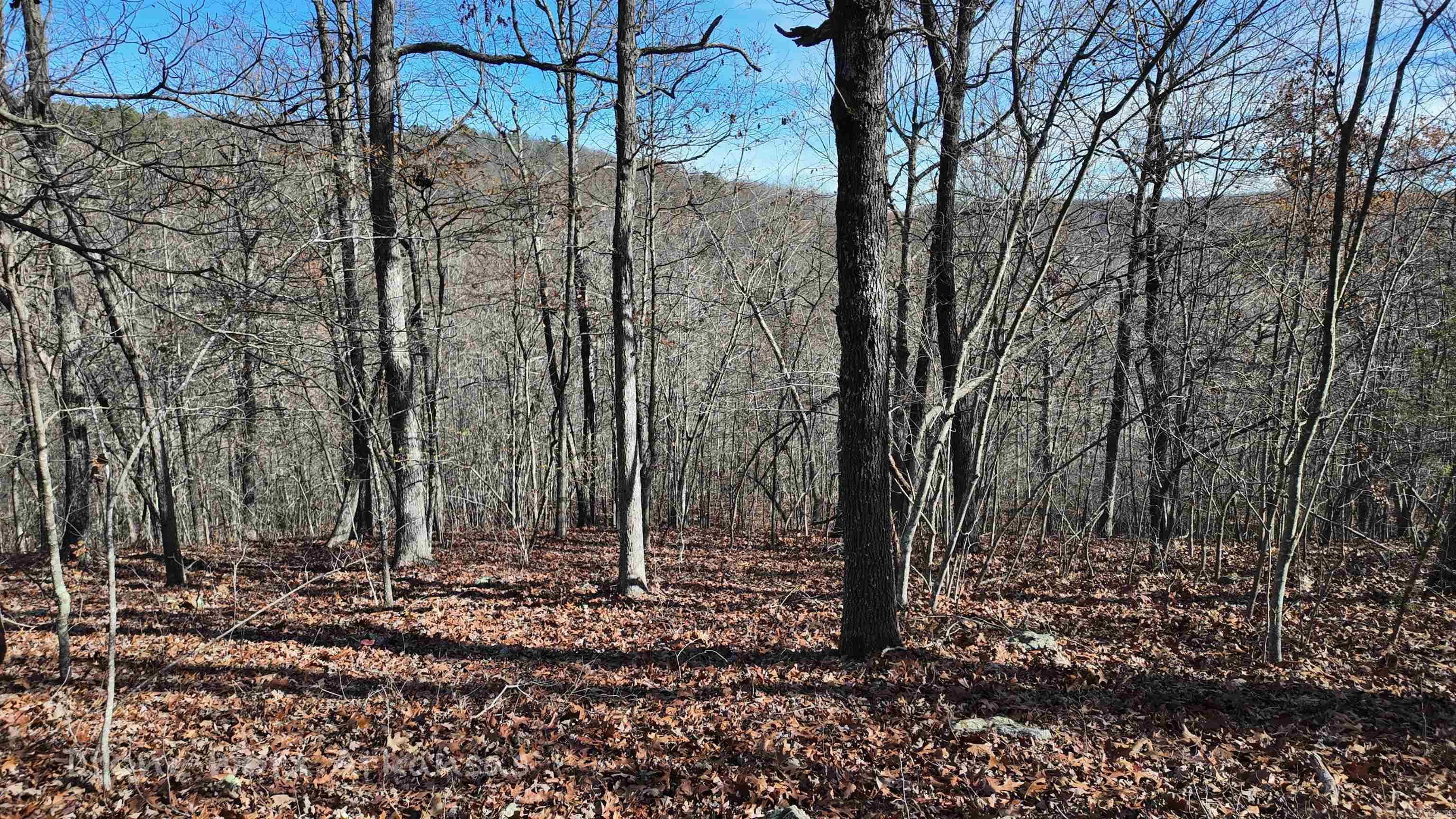 1534  Endline  Marshall, AR