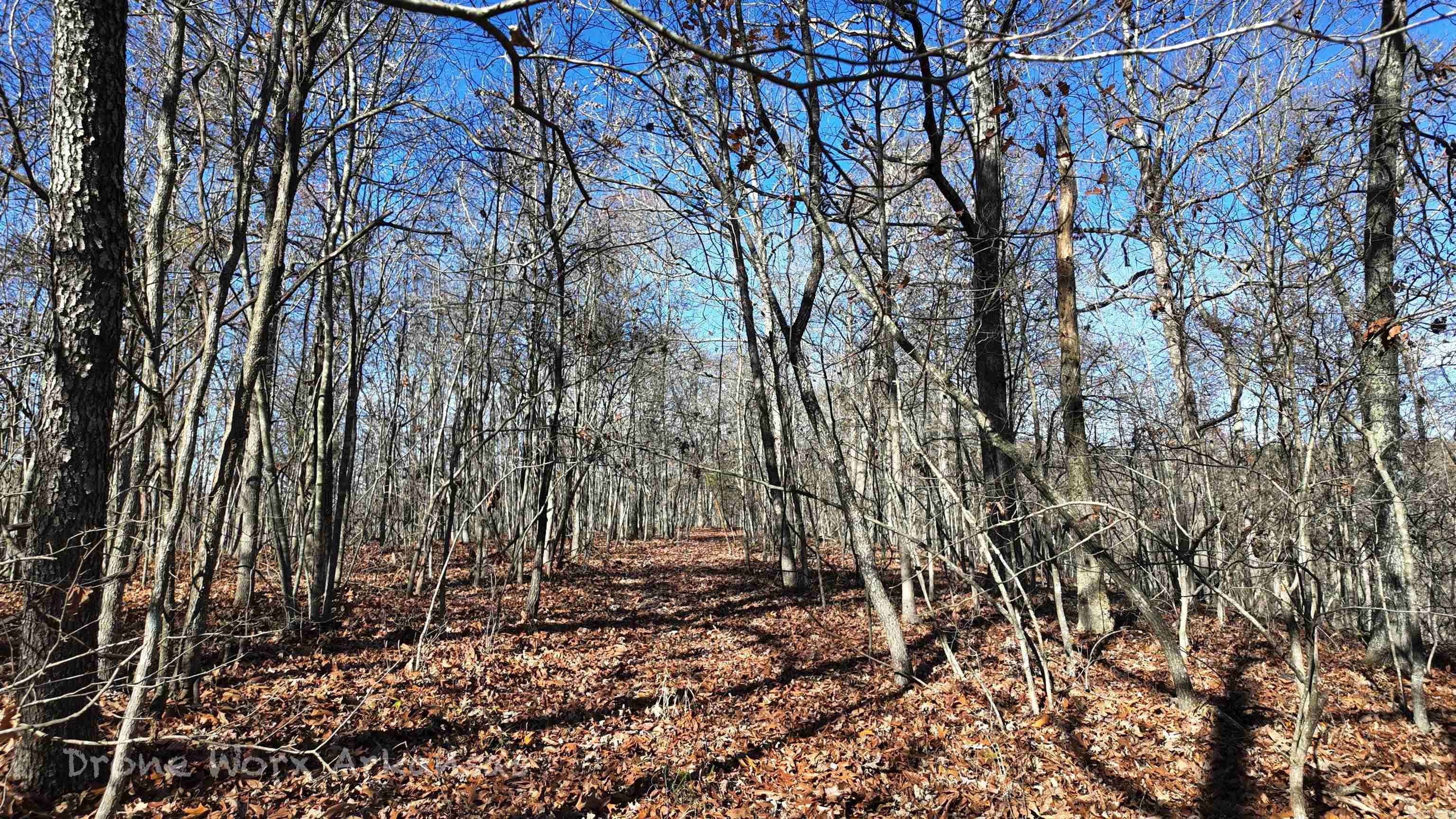 1534  Endline  Marshall, AR