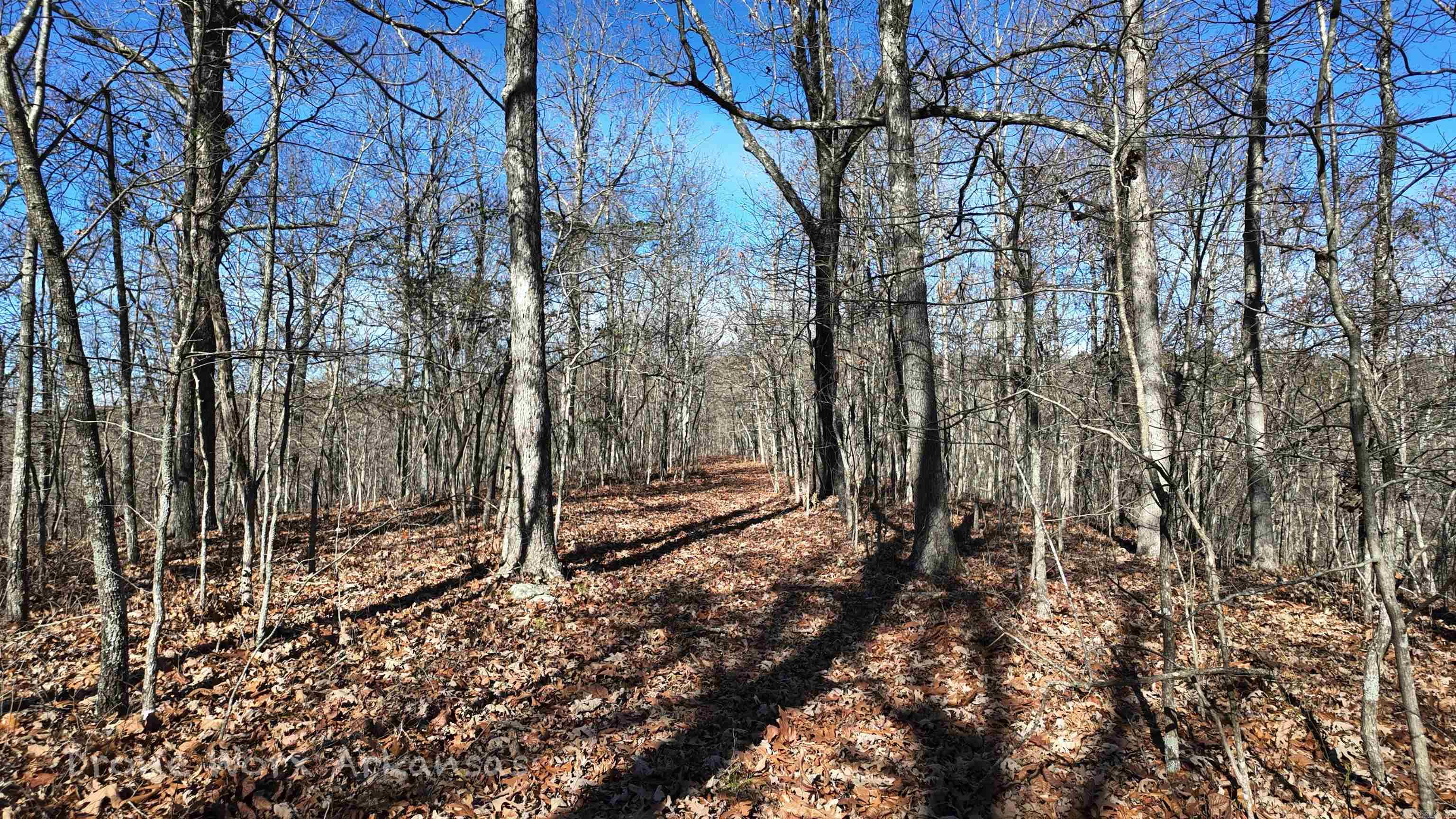 1534  Endline  Marshall, AR