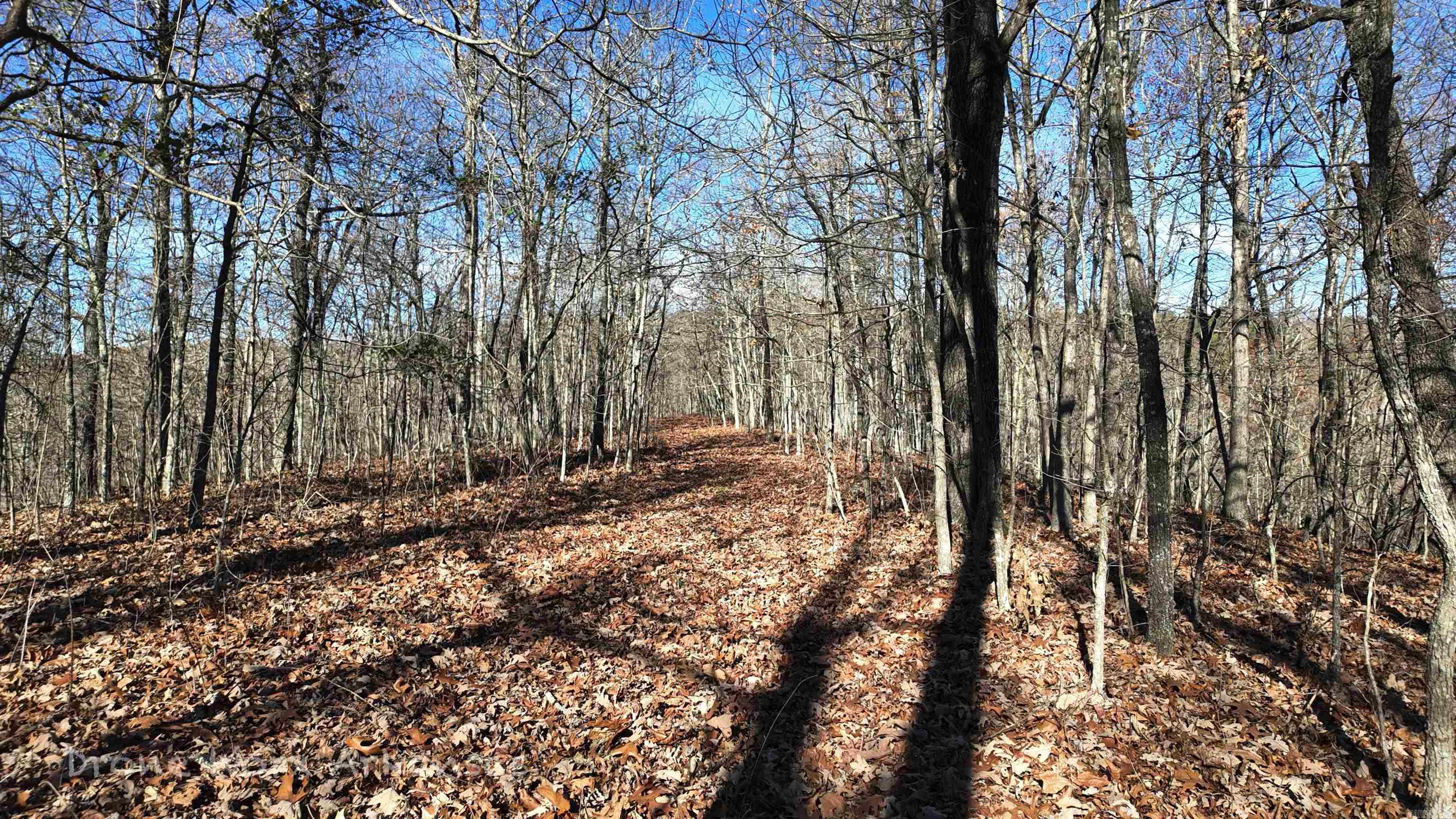 1534  Endline  Marshall, AR