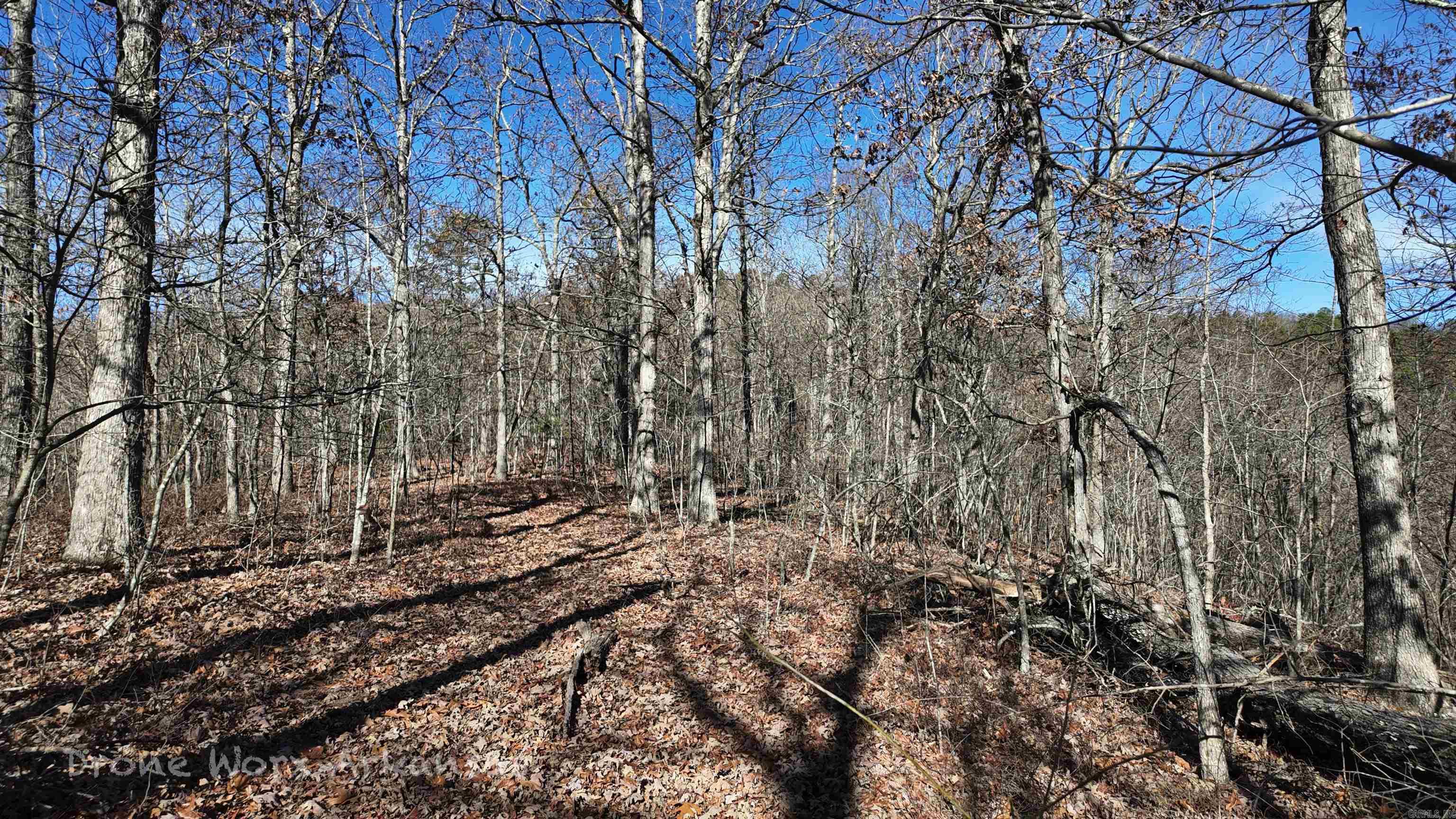 1534  Endline  Marshall, AR
