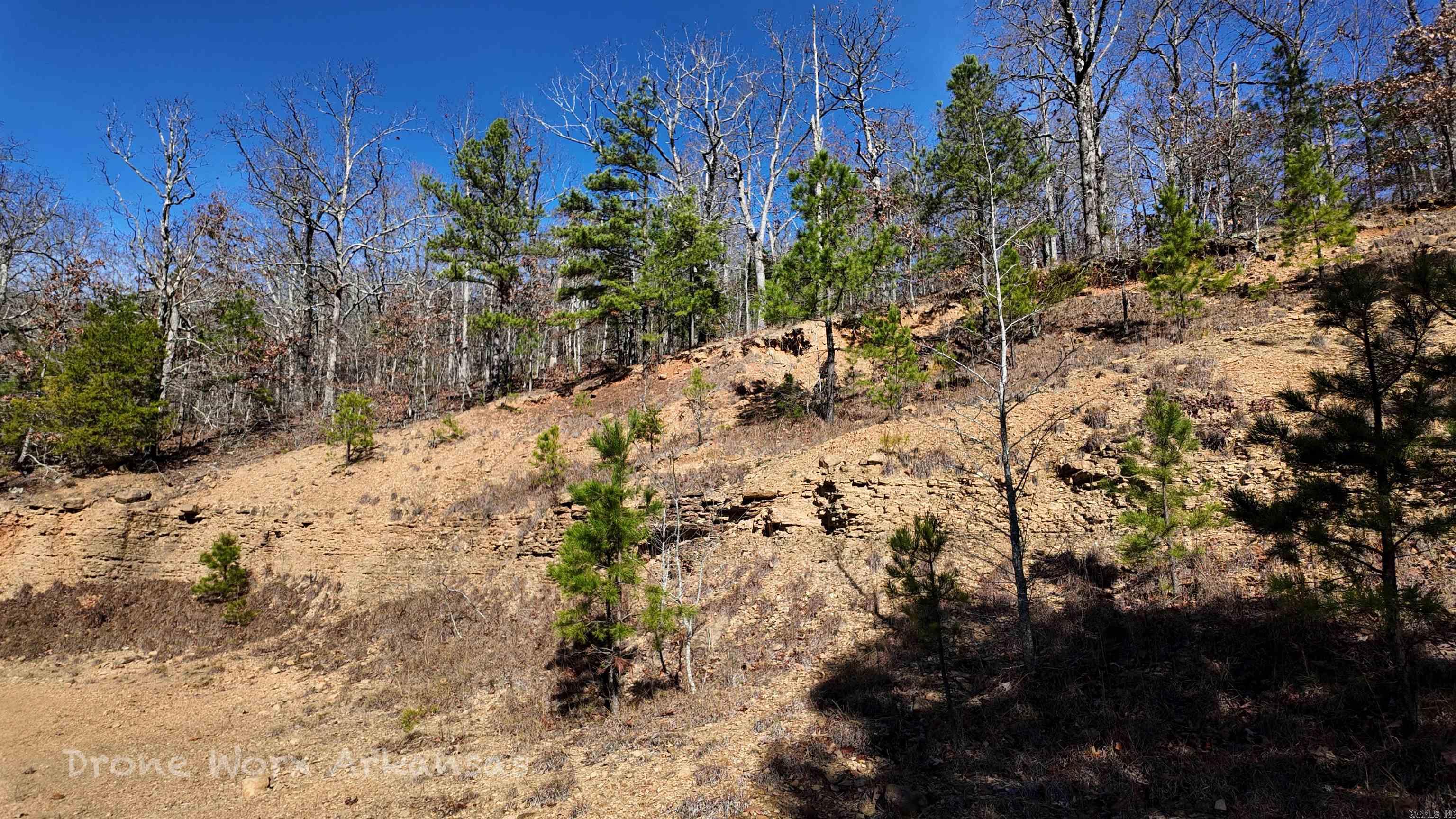 1534  Endline  Marshall, AR