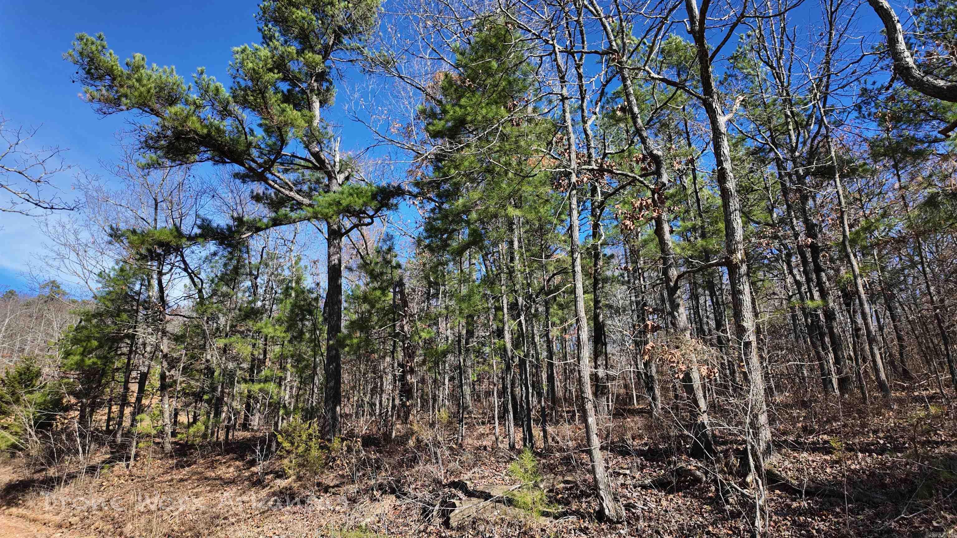 1534  Endline  Marshall, AR