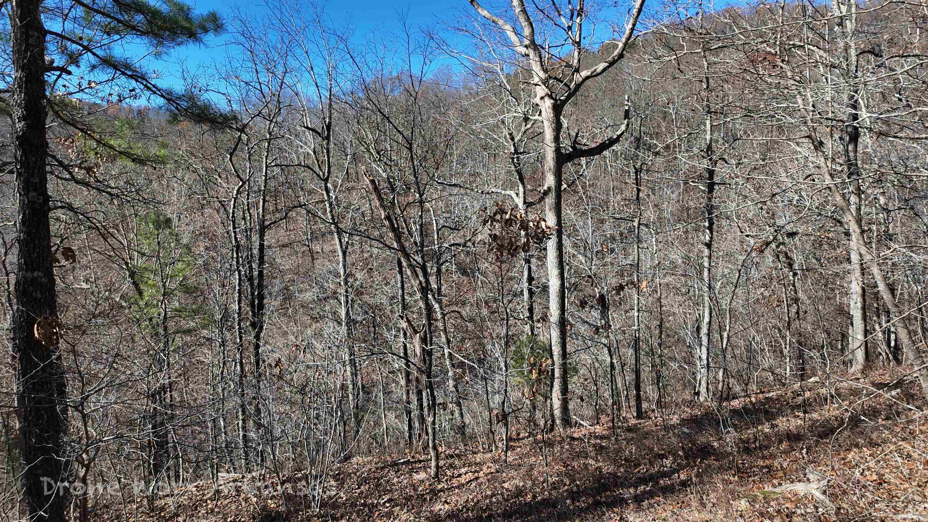 1534  Endline  Marshall, AR