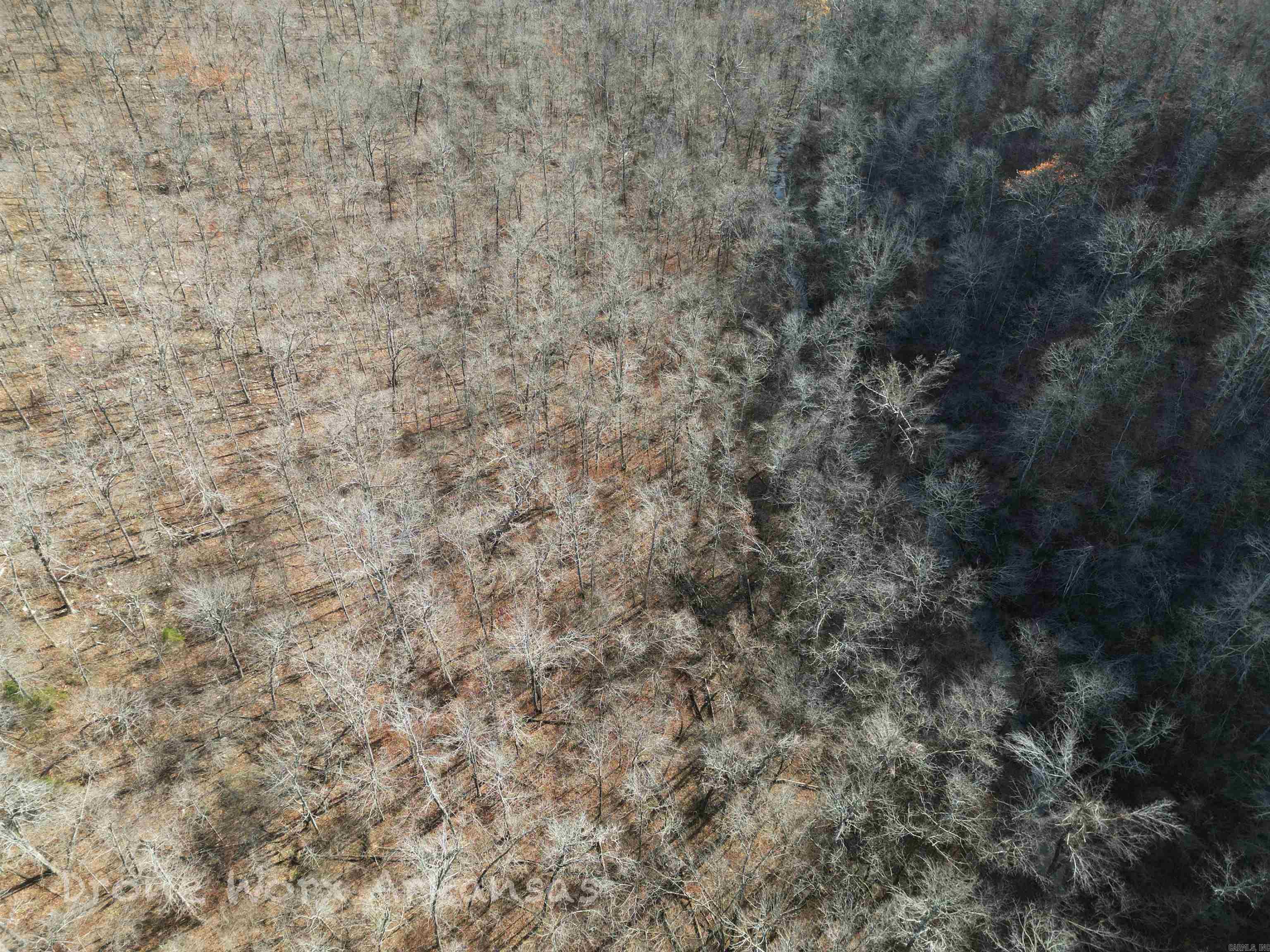 1534  Endline  Marshall, AR