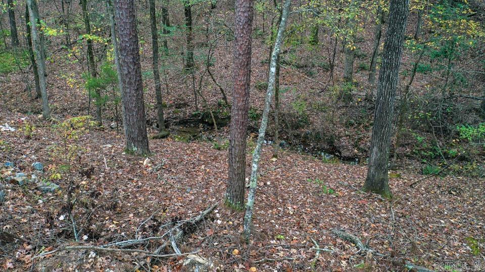 85  Weekender  Mount Ida, AR