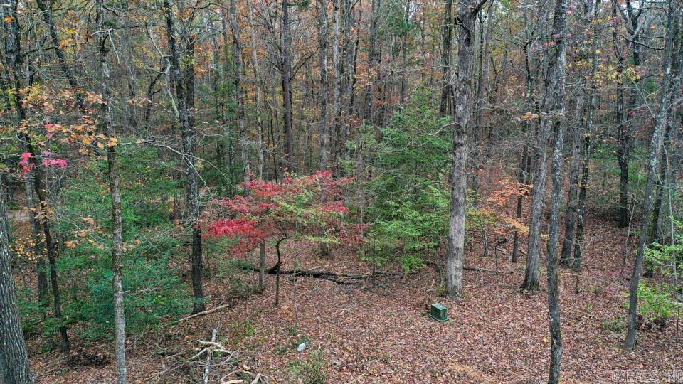 85  Weekender  Mount Ida, AR