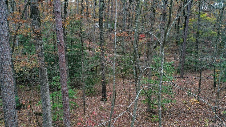 85  Weekender  Mount Ida, AR