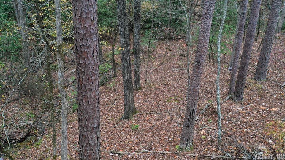 85  Weekender  Mount Ida, AR