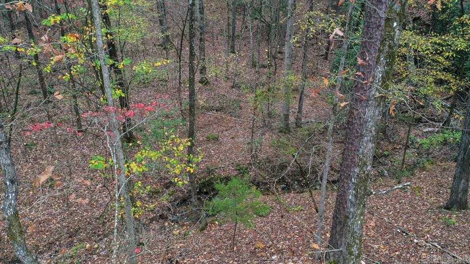 85  Weekender  Mount Ida, AR