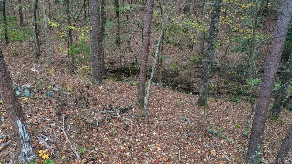 85  Weekender  Mount Ida, AR