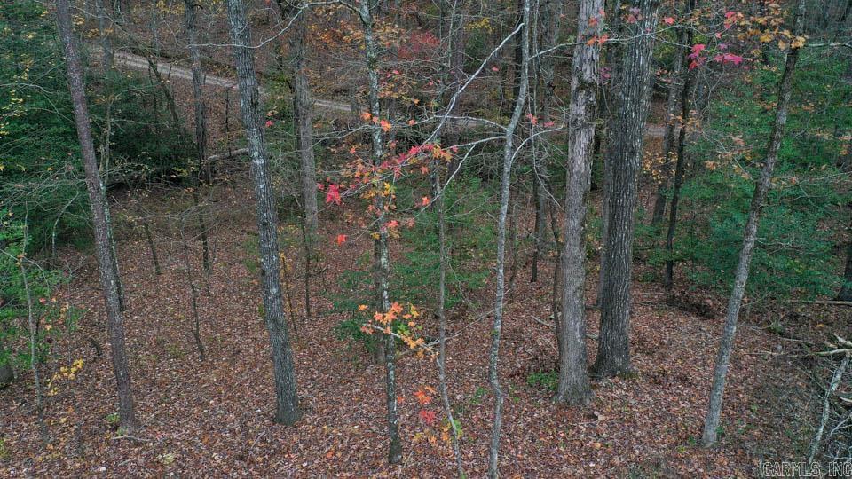 85  Weekender  Mount Ida, AR