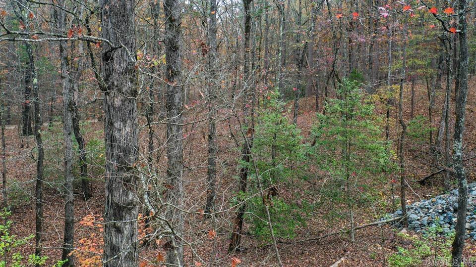 85  Weekender  Mount Ida, AR