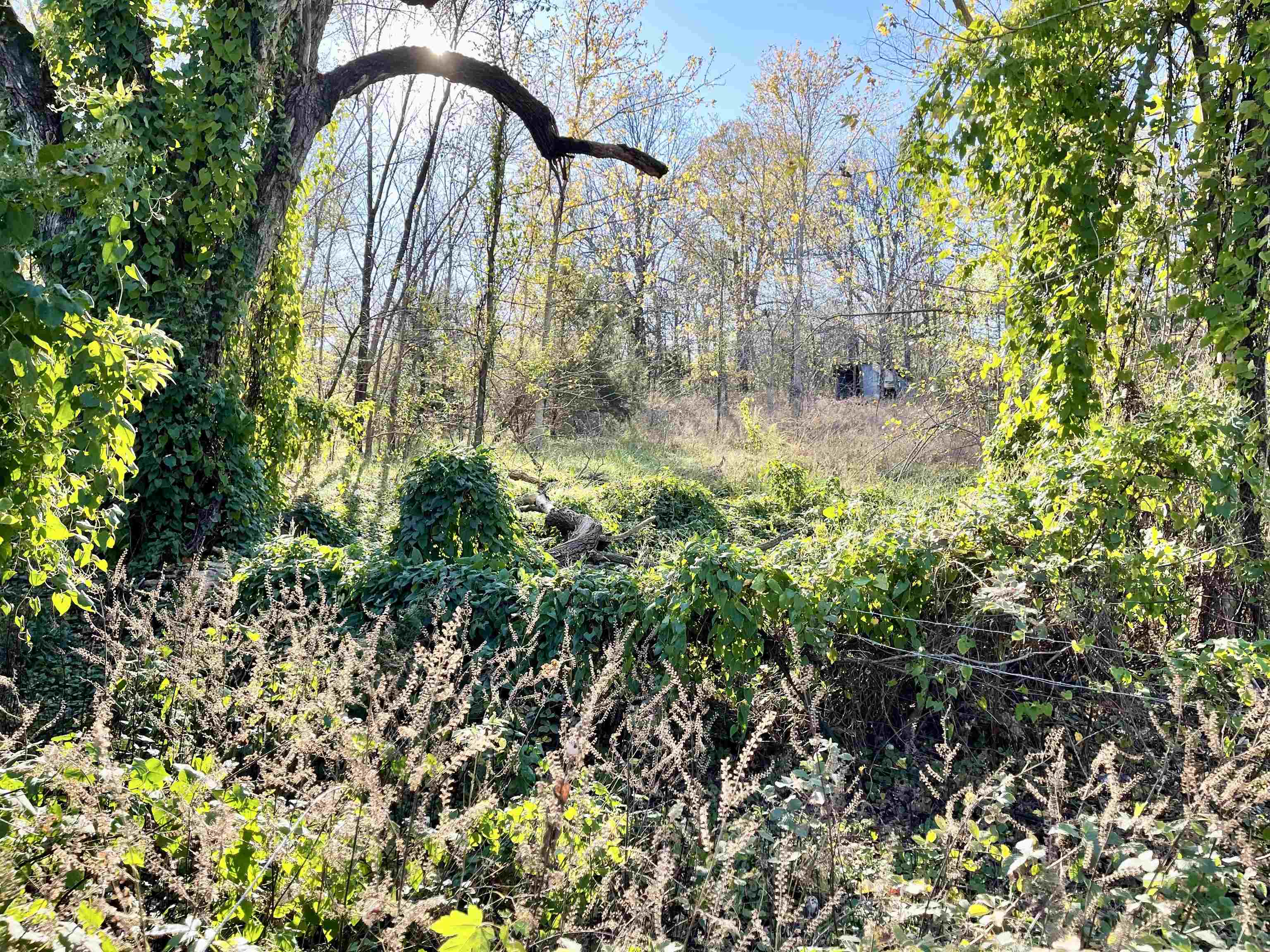 6906  62/412  Viola, AR