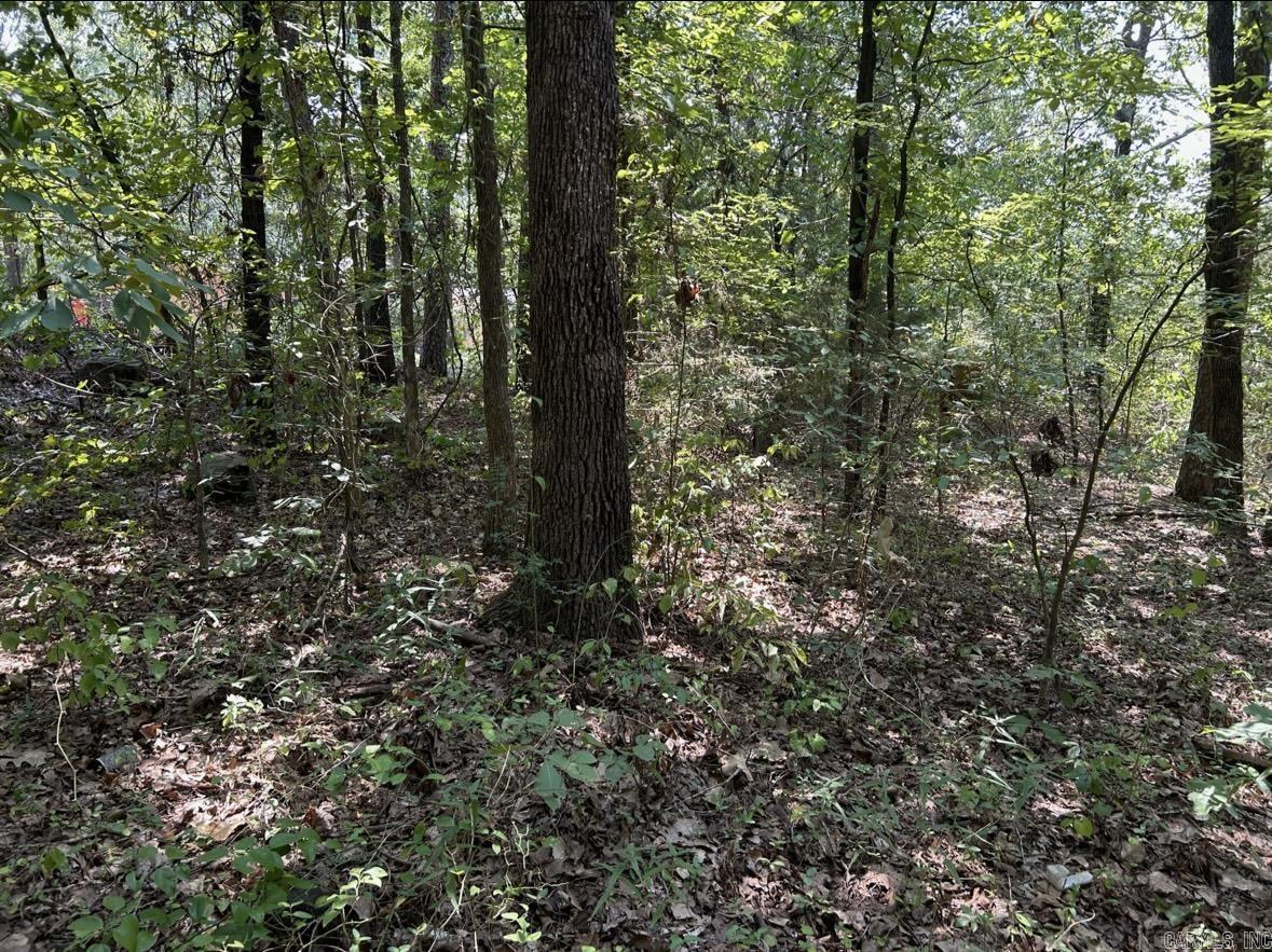 00  Park North St  Heber Springs, AR