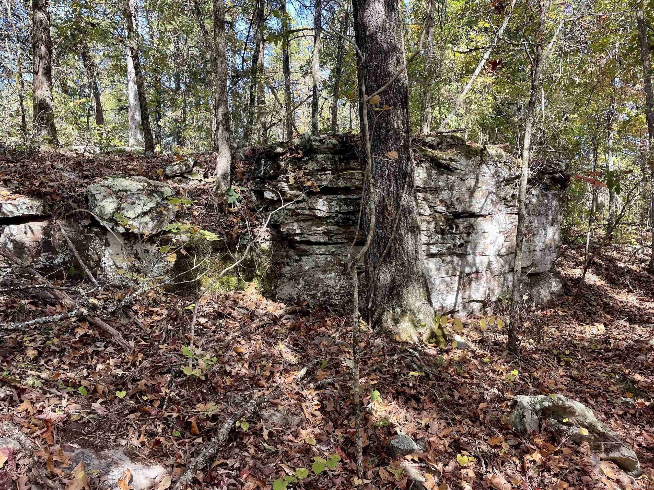 002  Overton Road  Shirley, AR
