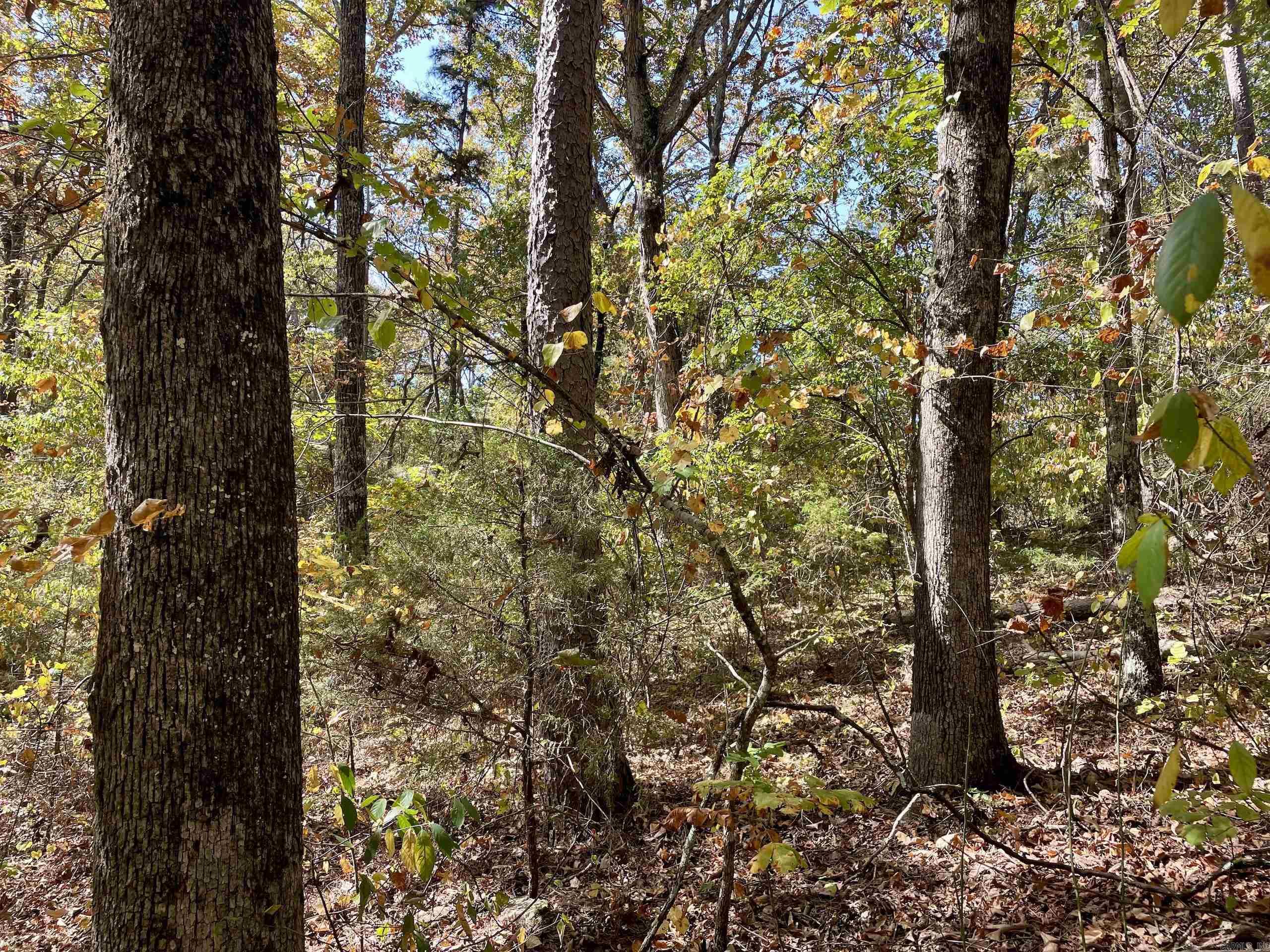 002  Overton Road  Shirley, AR