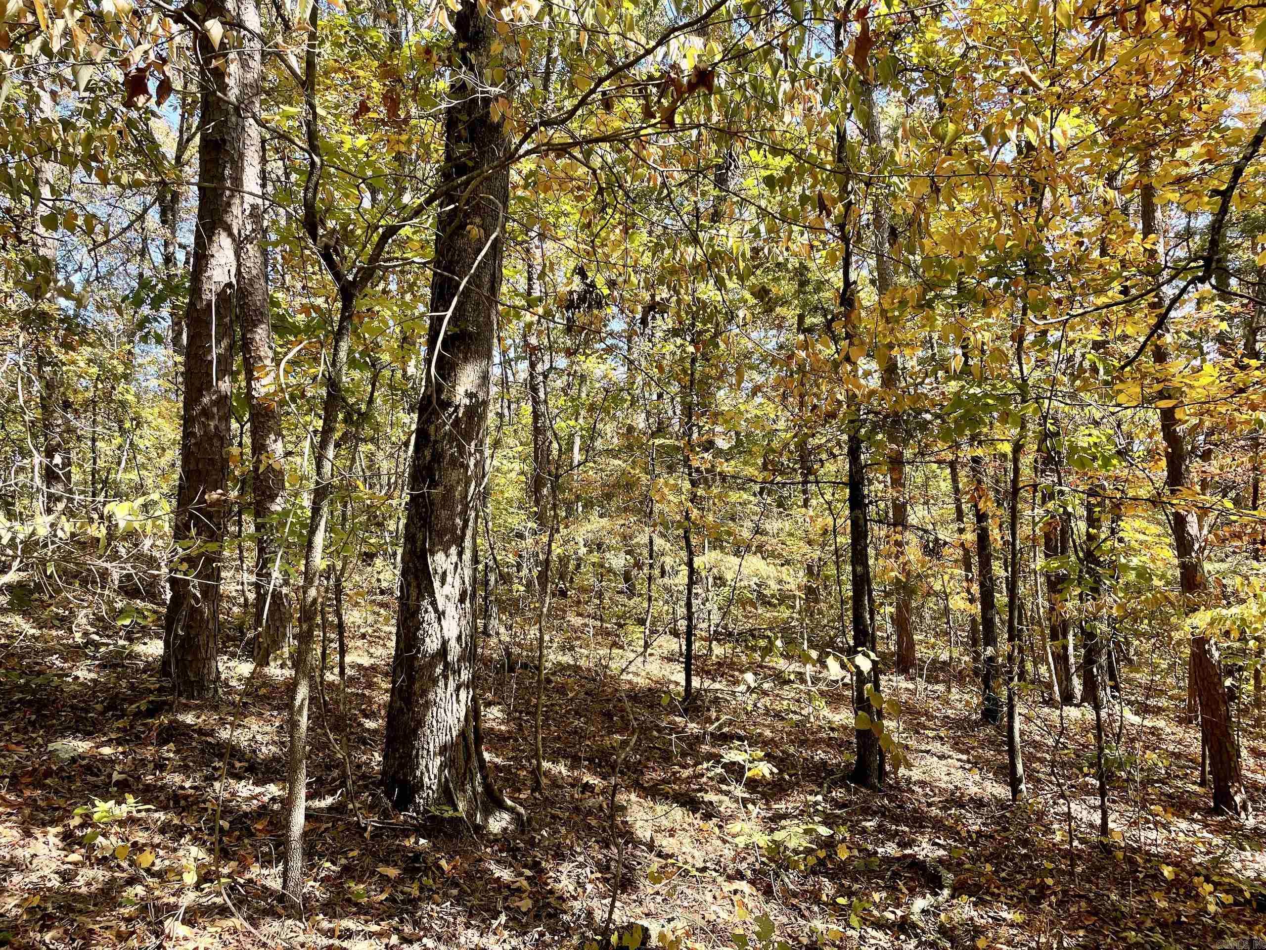 002  Overton Road  Shirley, AR