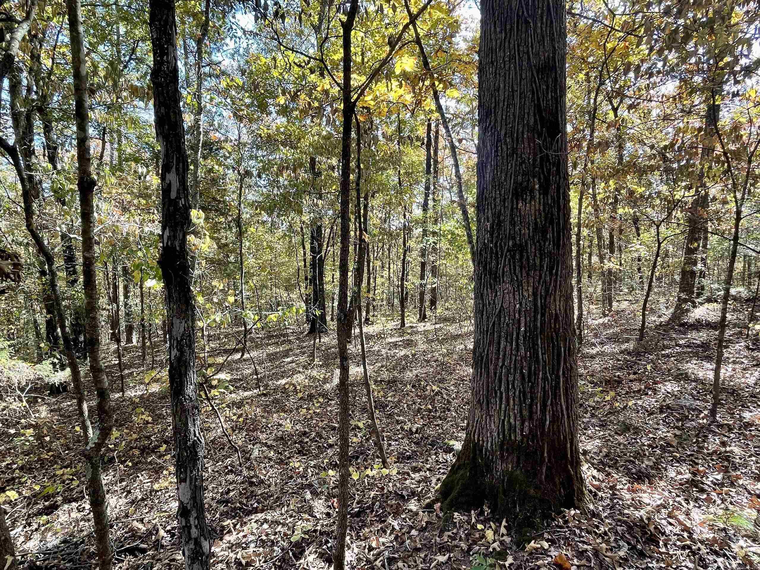 002  Overton Road  Shirley, AR