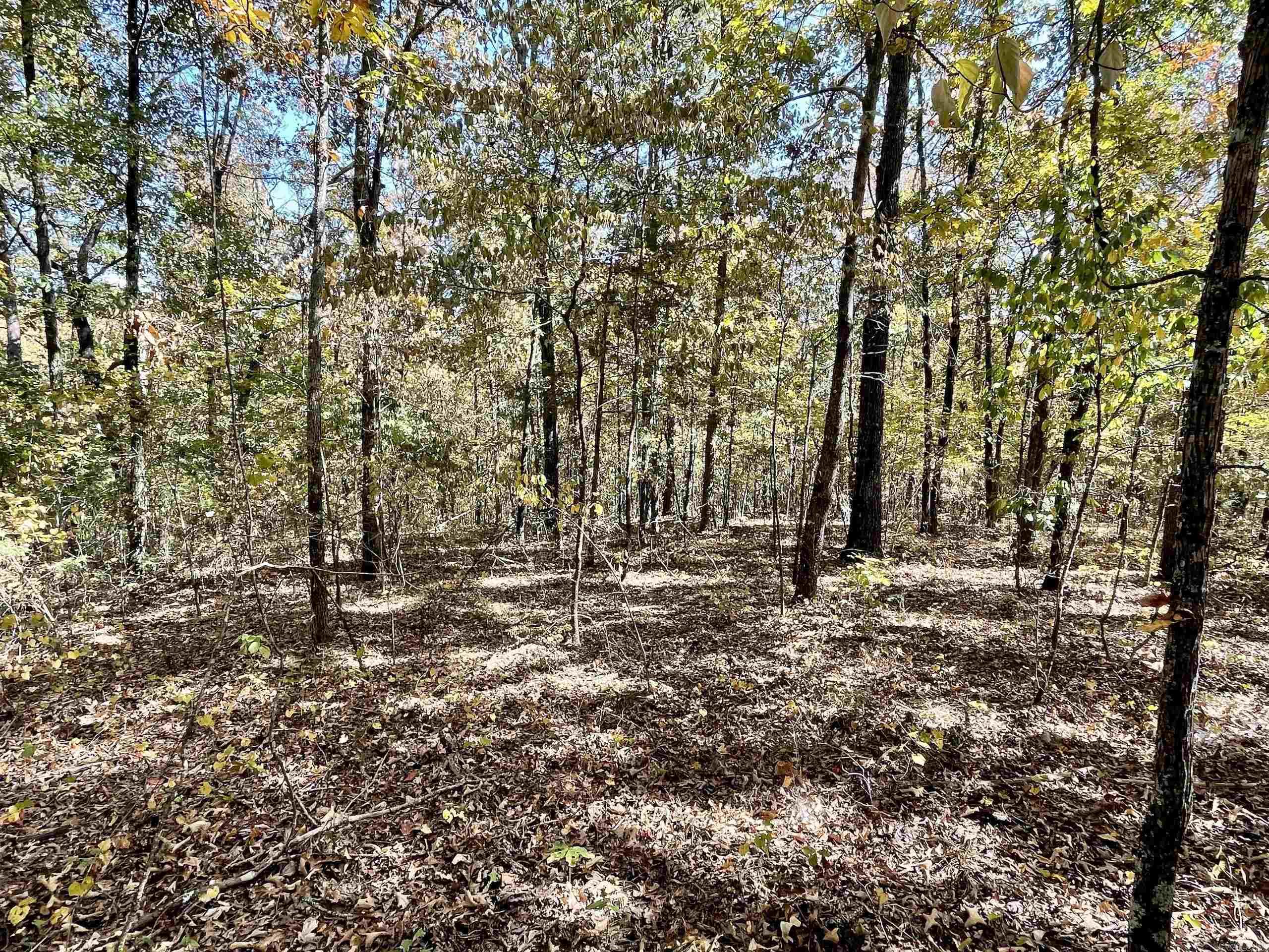 002  Overton Road  Shirley, AR