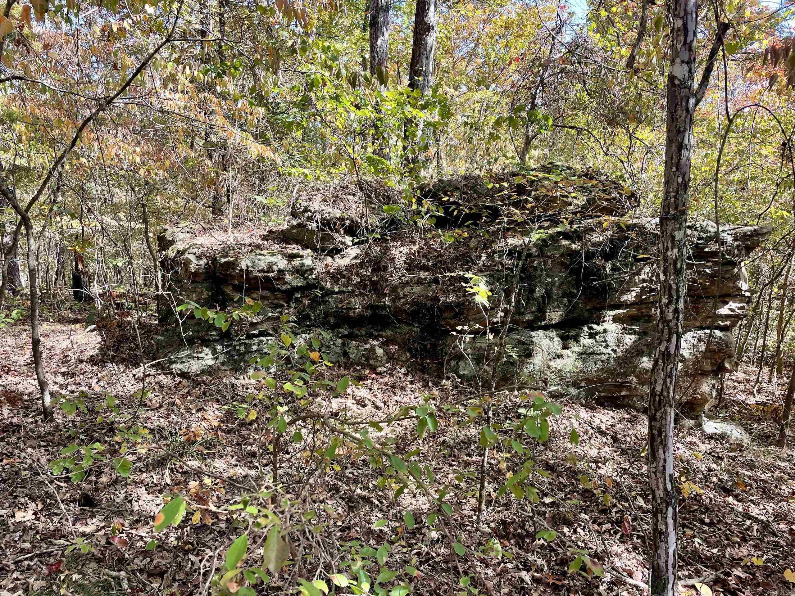 002  Overton Road  Shirley, AR