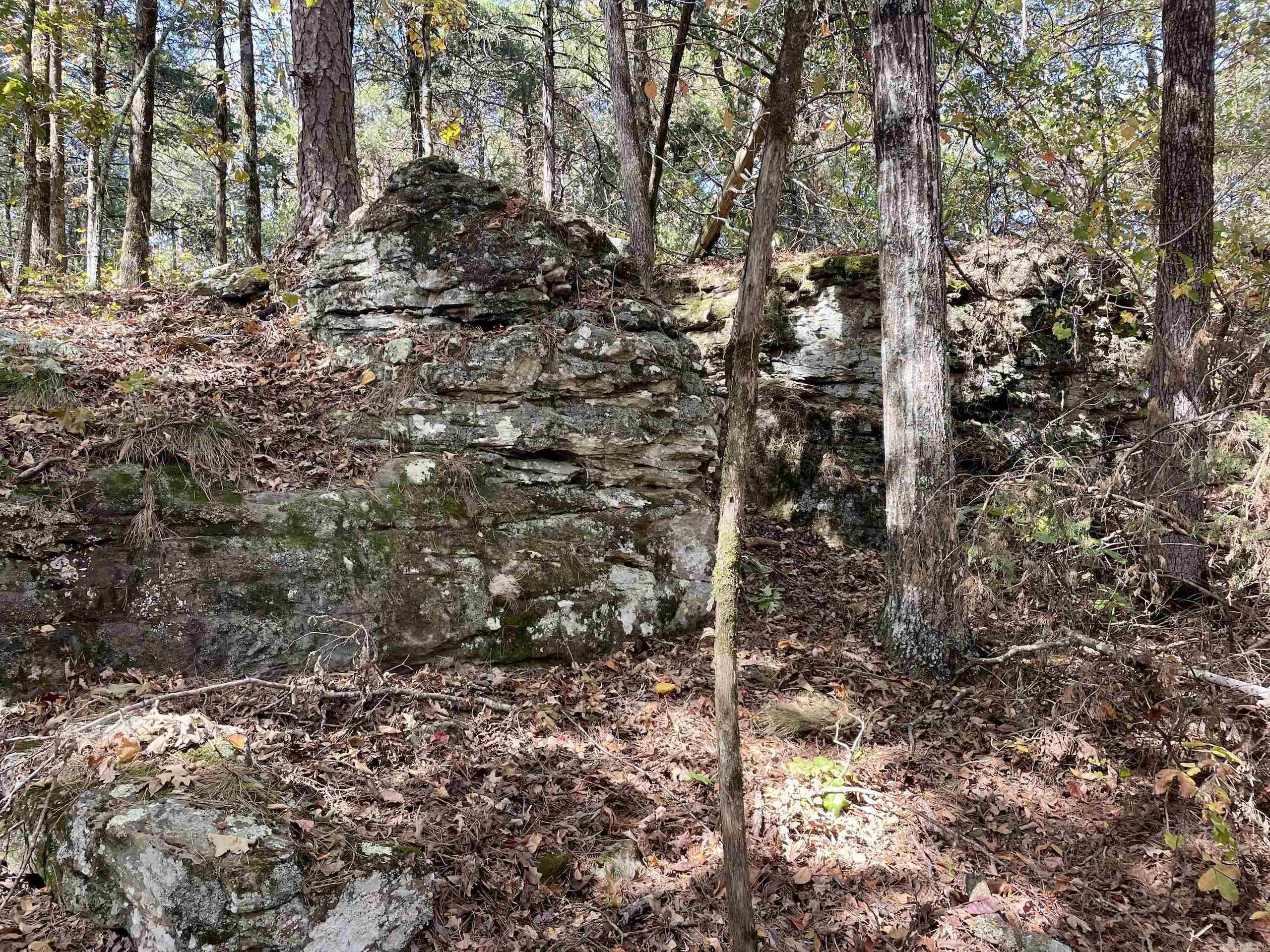 002  Overton Road  Shirley, AR