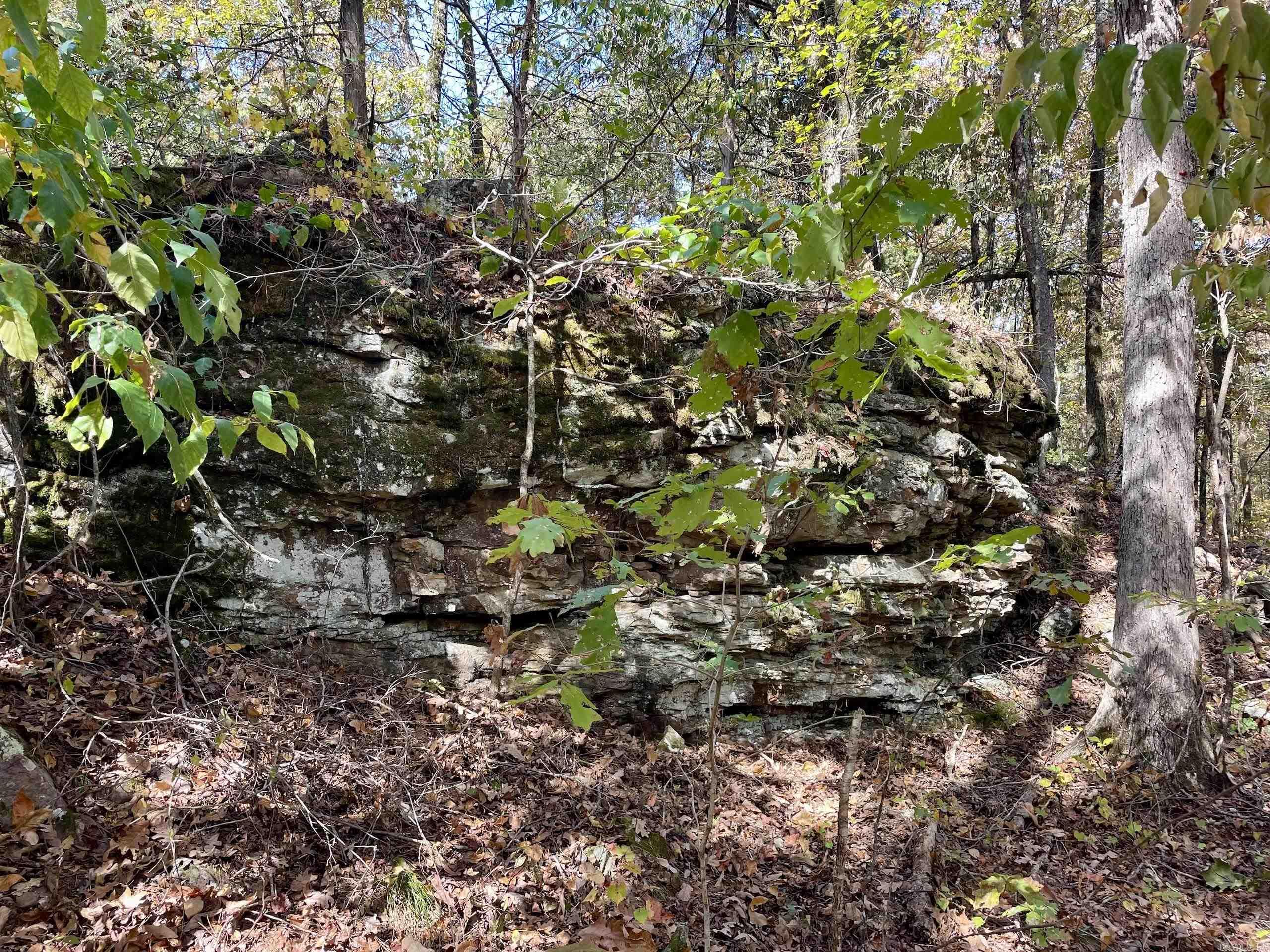 002  Overton Road  Shirley, AR