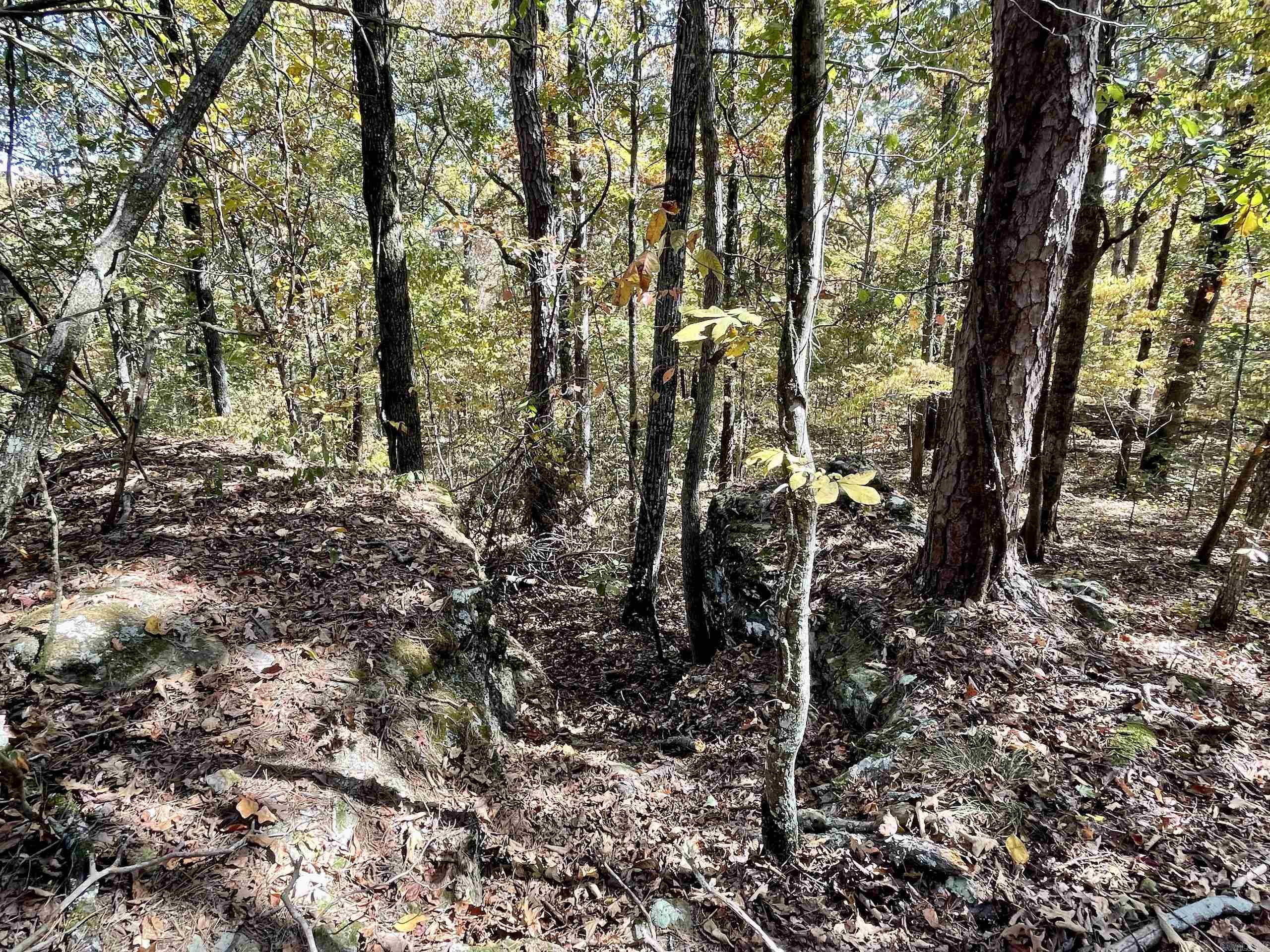 002  Overton Road  Shirley, AR