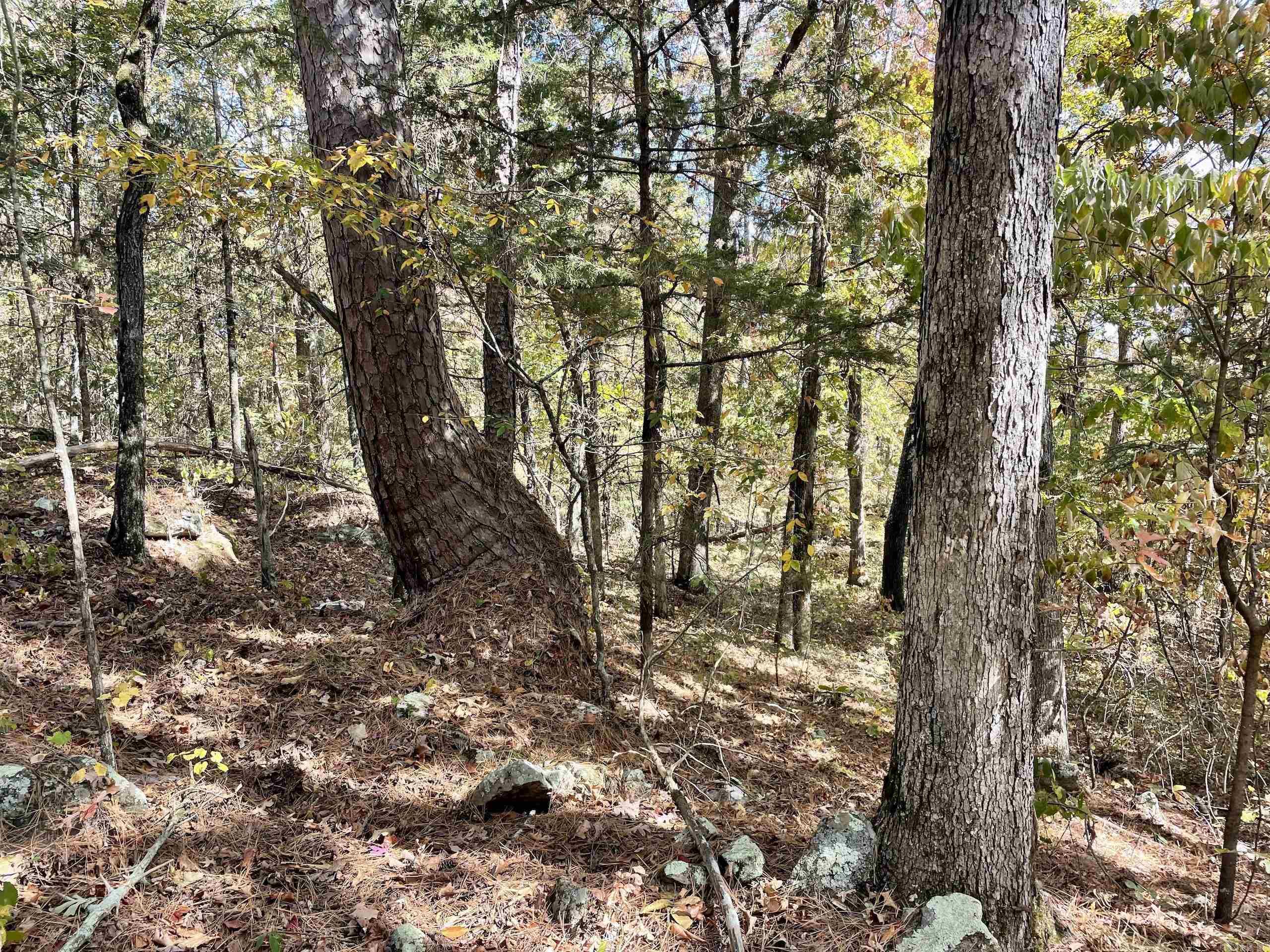 002  Overton Road  Shirley, AR