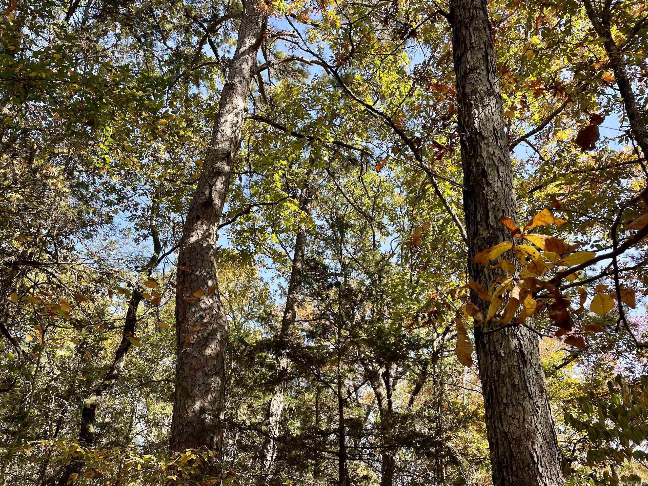 002  Overton Road  Shirley, AR