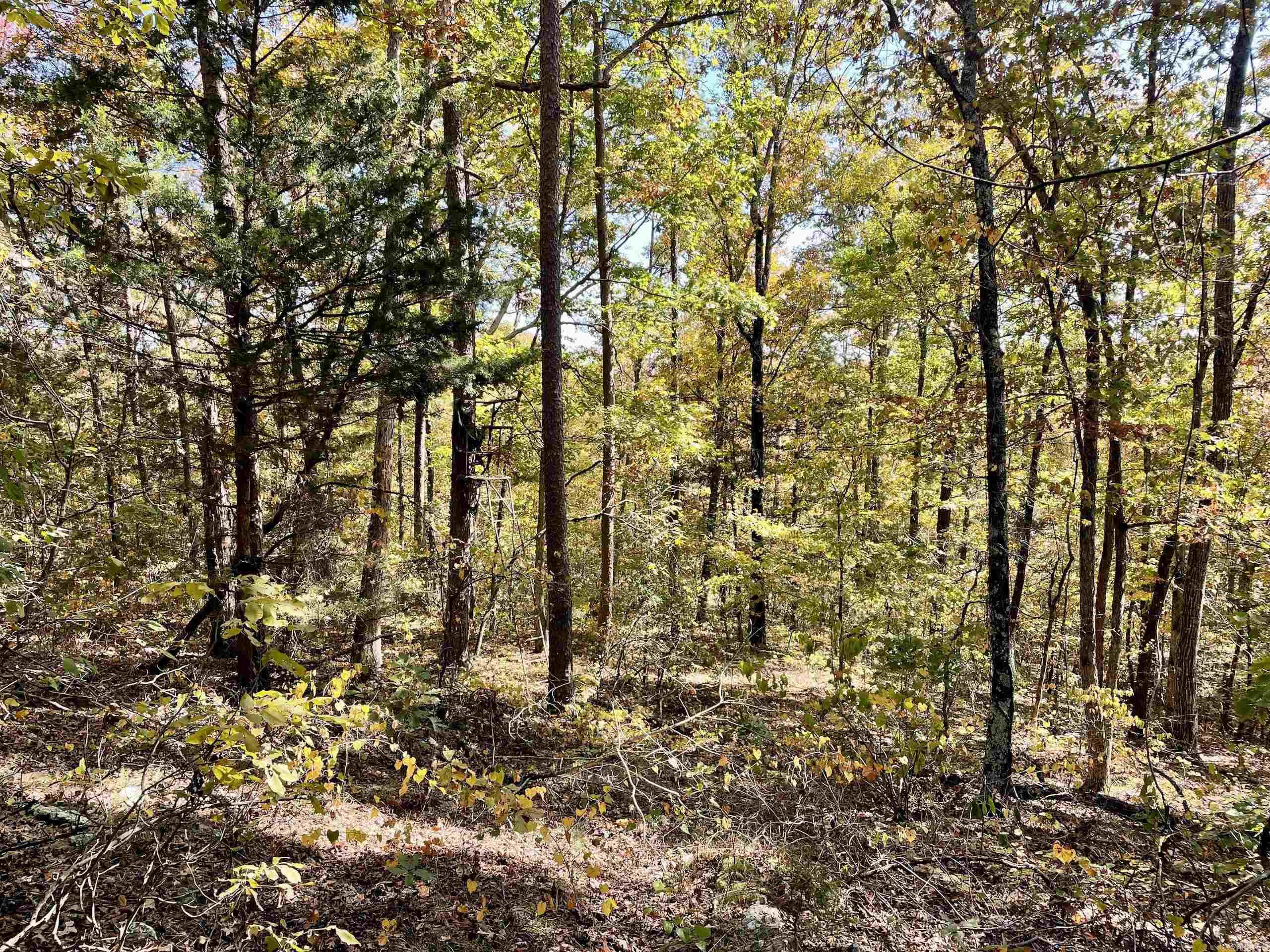 002  Overton Road  Shirley, AR