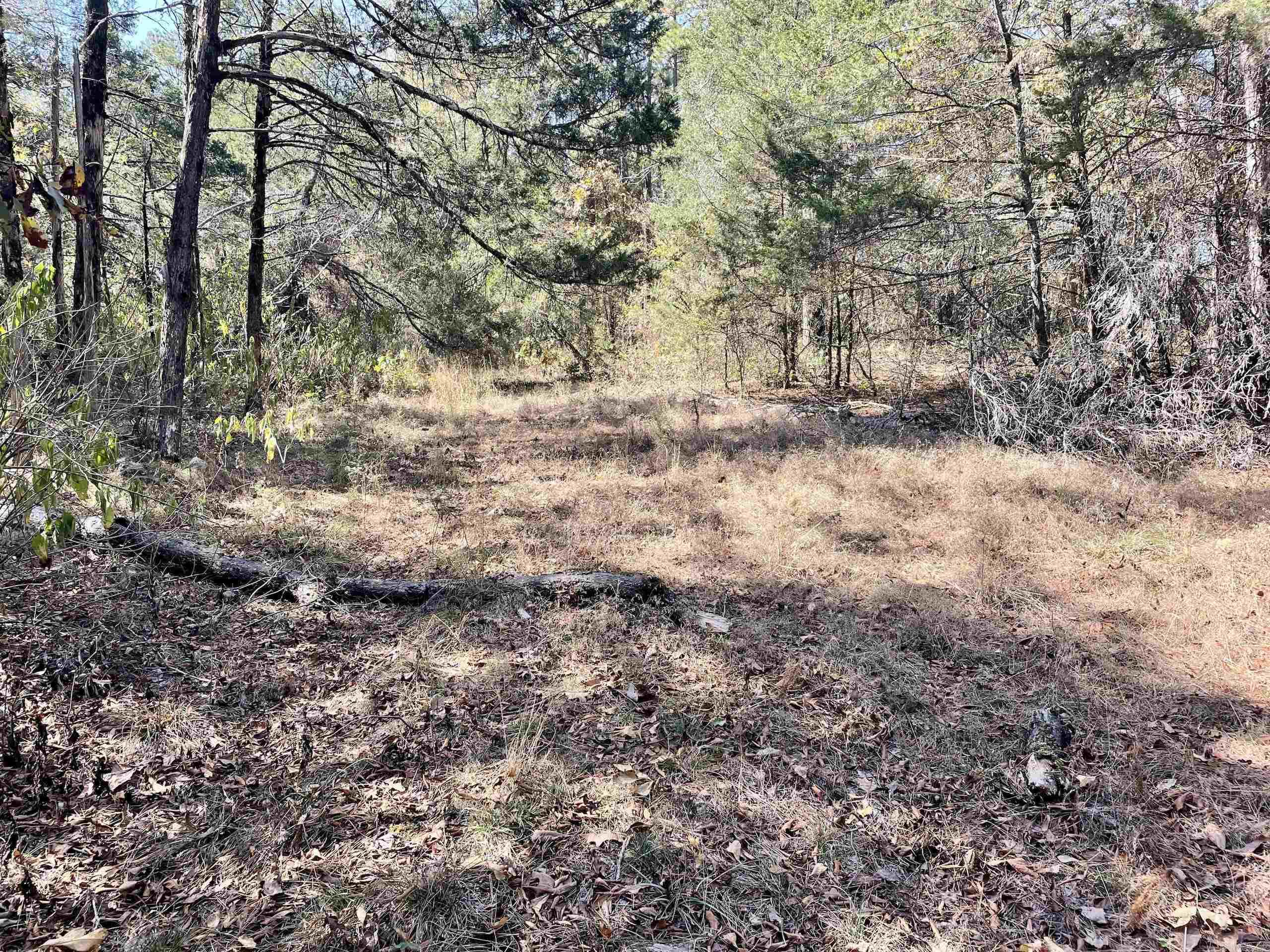 002  Overton Road  Shirley, AR