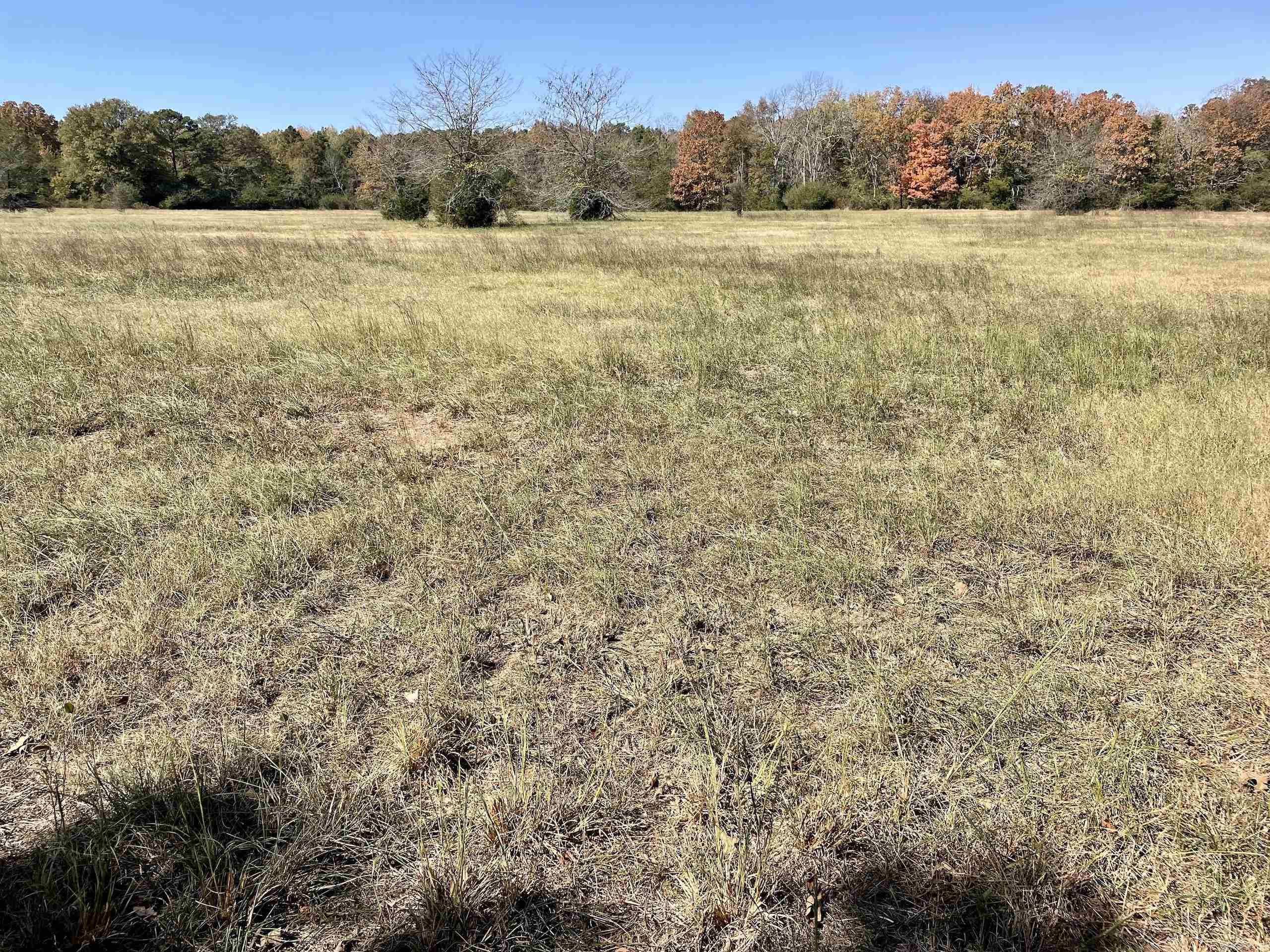 002  Overton Road  Shirley, AR
