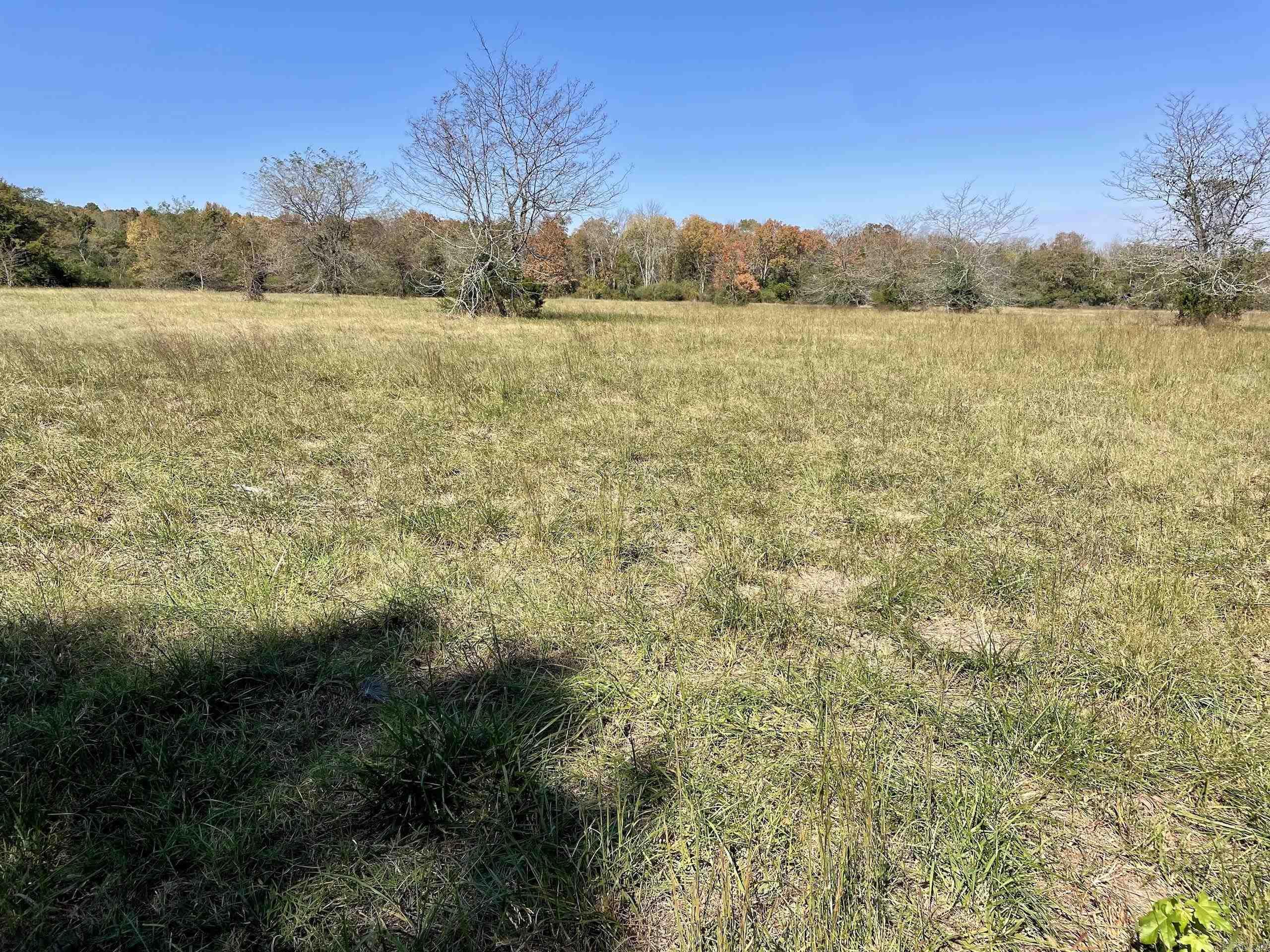 002  Overton Road  Shirley, AR