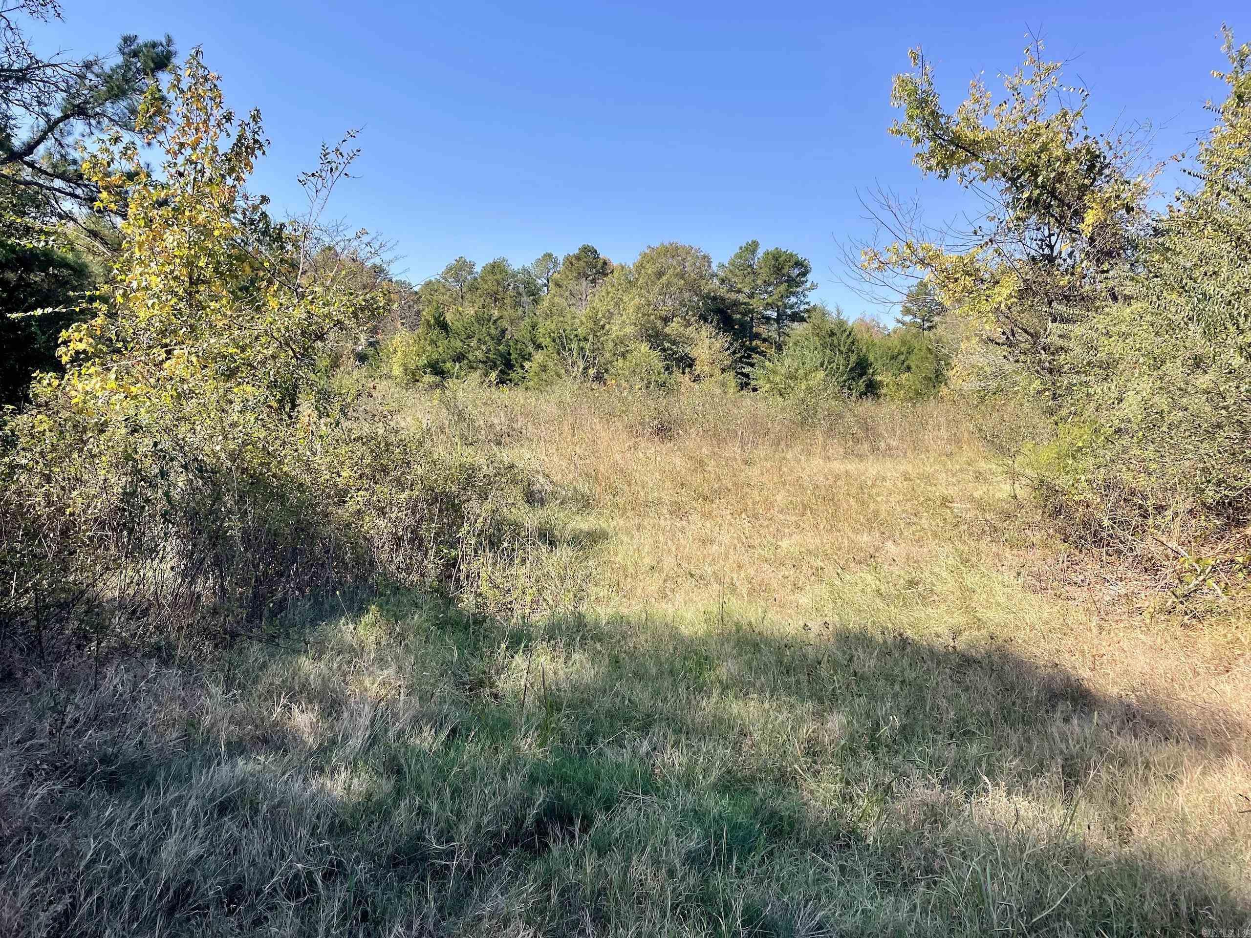 002  Overton Road  Shirley, AR