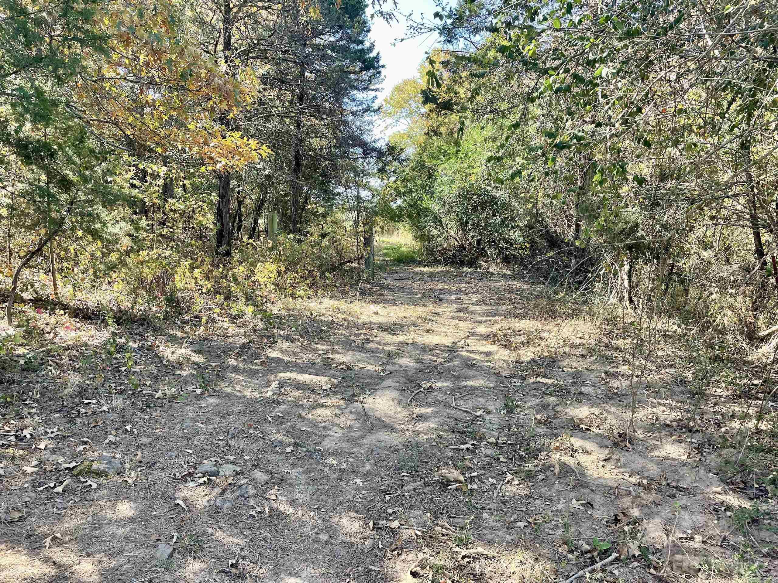 002  Overton Road  Shirley, AR