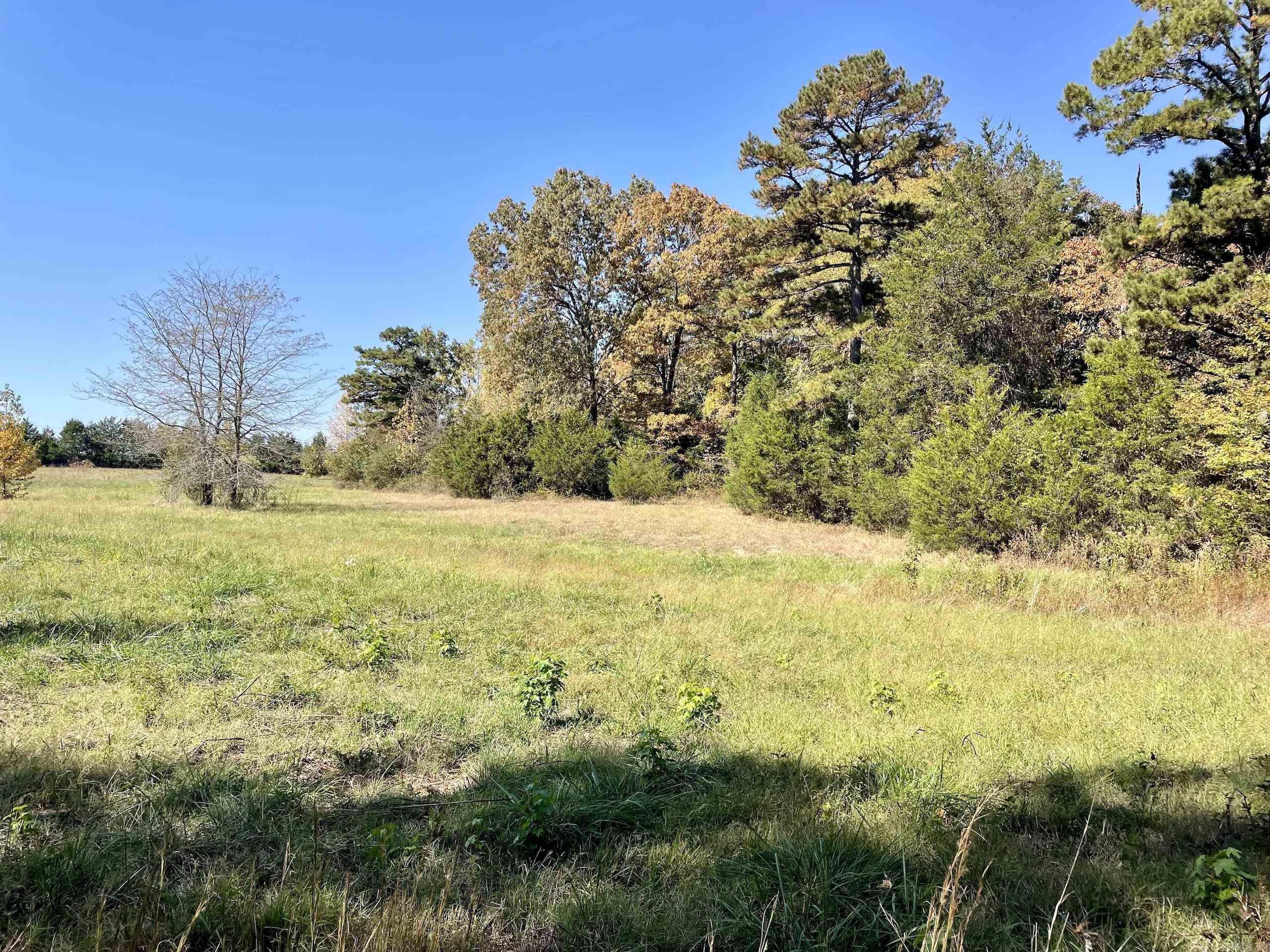 002  Overton Road  Shirley, AR