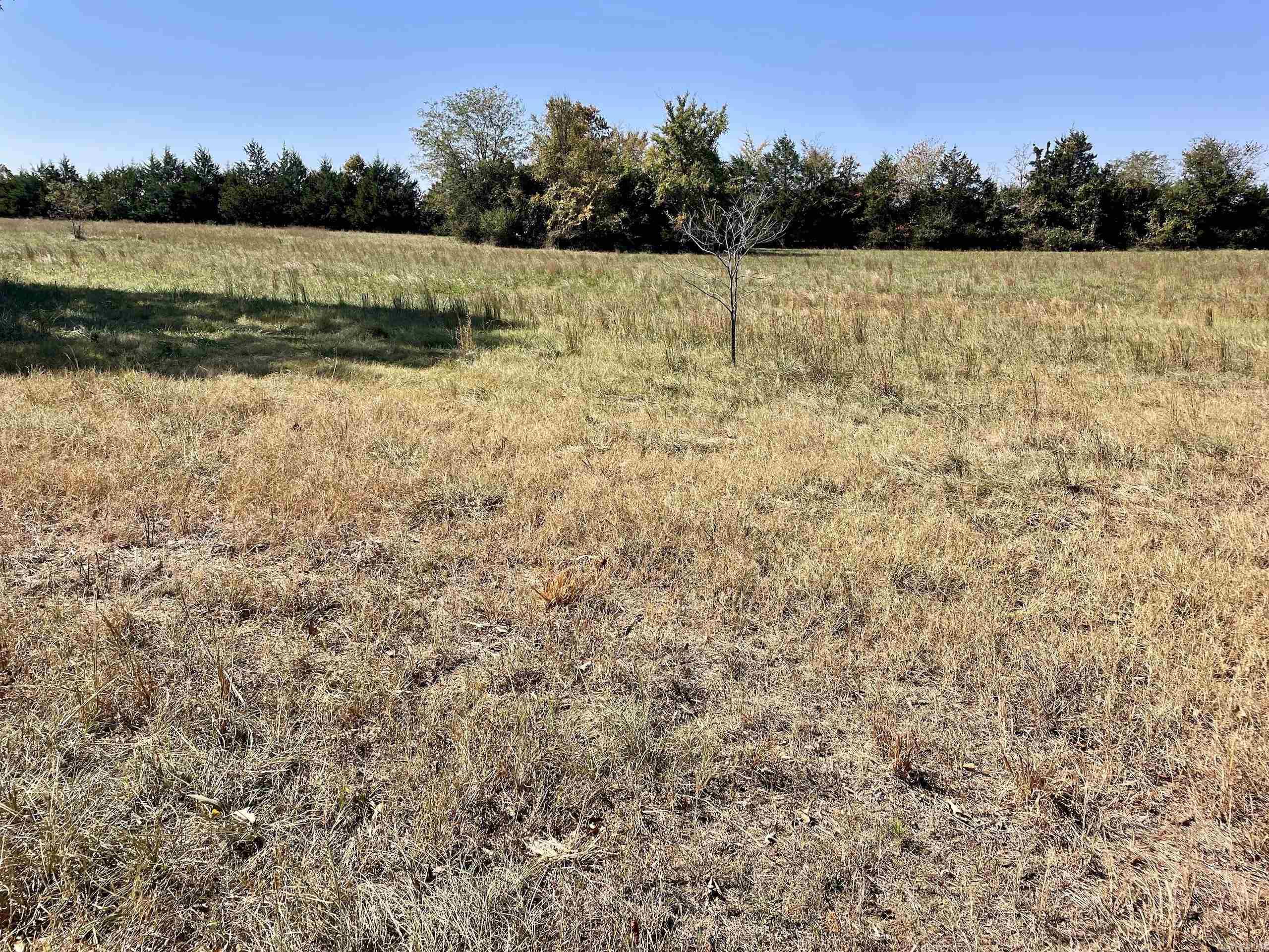 002  Overton Road  Shirley, AR